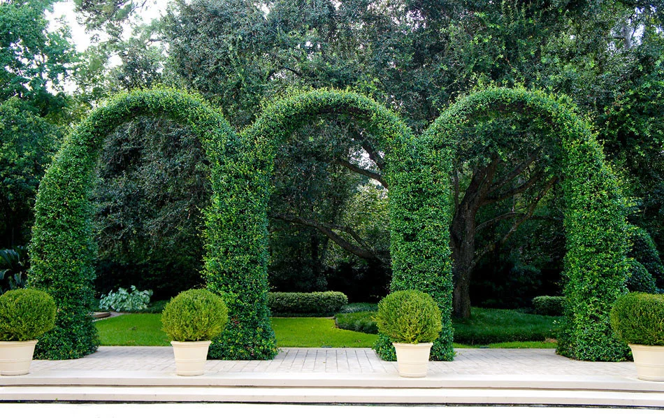 Grand ivy-covered arches mirror container-grown boxwood spheres beside the pool.