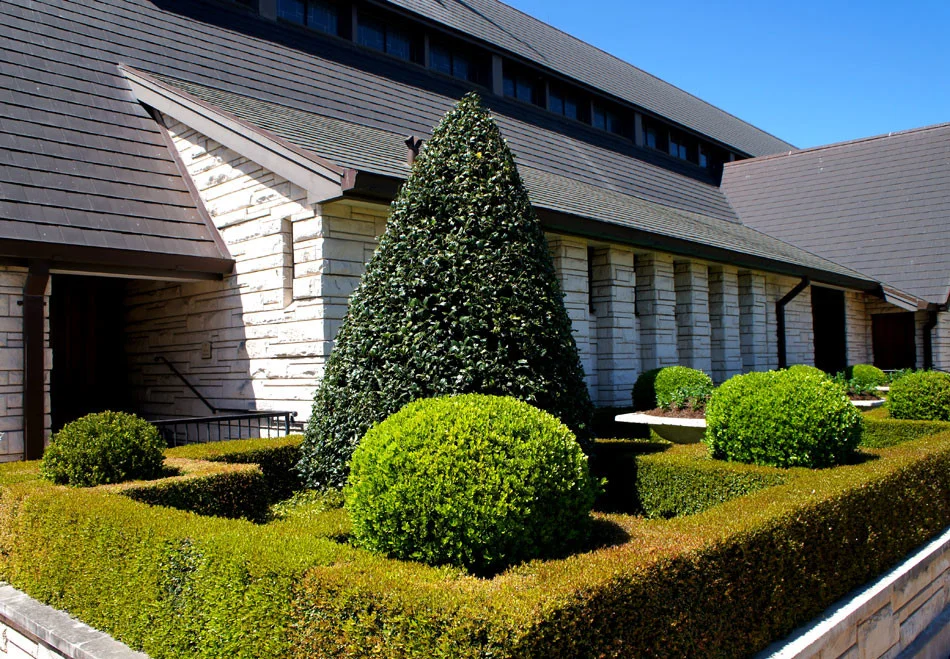 Geometric boxwood hedges are anchored with boxwood globes and a large, cone-shaped Oakleaf Holly.