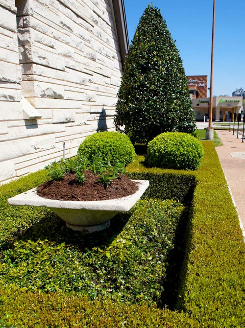 Right: Color planters sit within a geometric boxwood frame that is anchored by boxwood globes and a cone-shaped Oakleaf Holly.