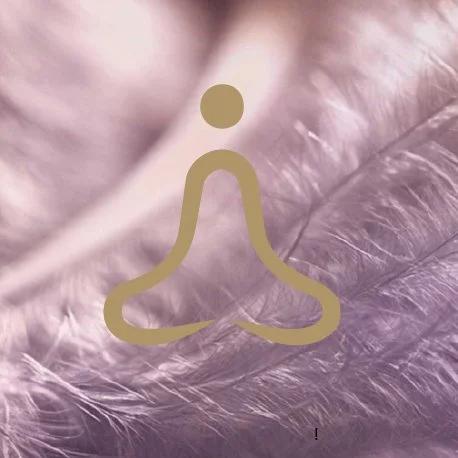 Meditation Kurs Shivarati – goldenes Symbol auf violettem Feder-Makro, innere Ruhe und Atemarbeit Yoga Mülheim