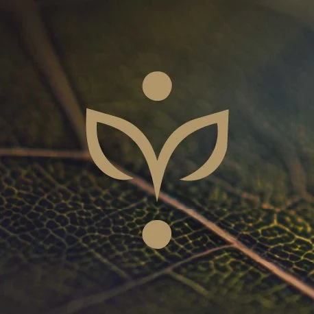 Phyto-Therapie