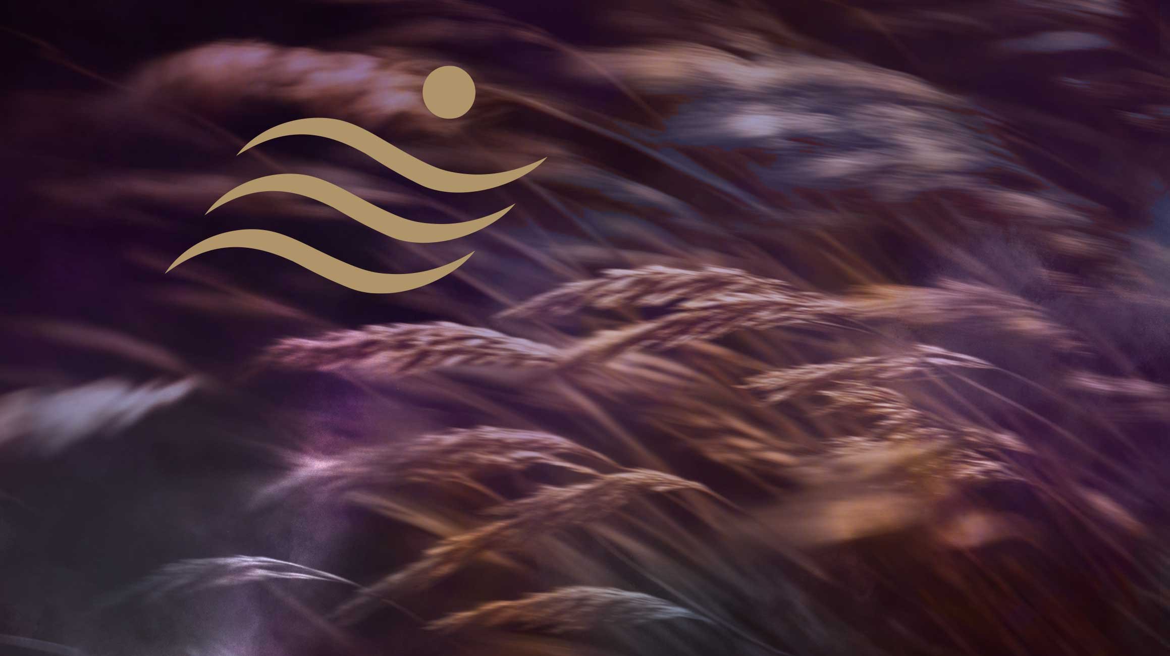 Atem-Therapie Gruppe Shivarati – goldenes Symbol auf violett schimmerndem Schilf im Wind, spirituelle Entwicklung Mülheim