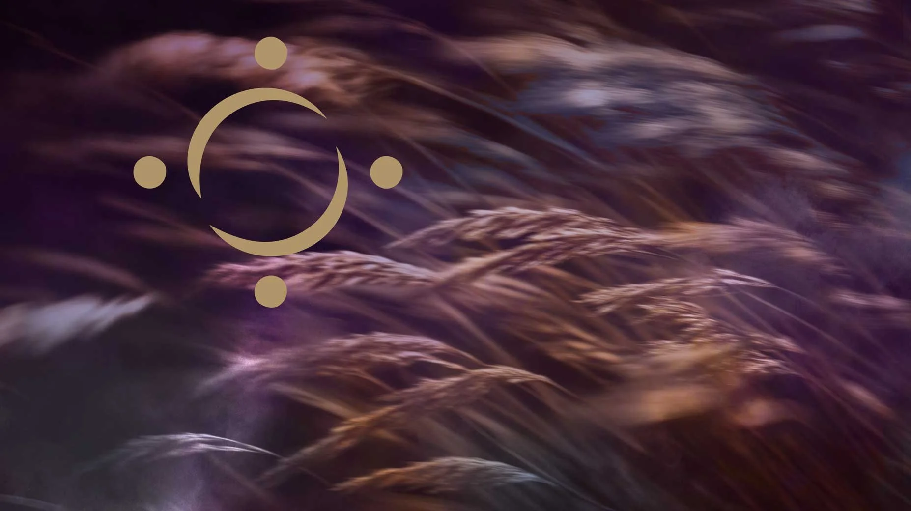 Der Atem Dein treuer Begleiter Shivarati – goldenes Symbol auf violett schimmerndem Gras im Wind, Atem-Workshop Einführung Atemarbeit Mülheim