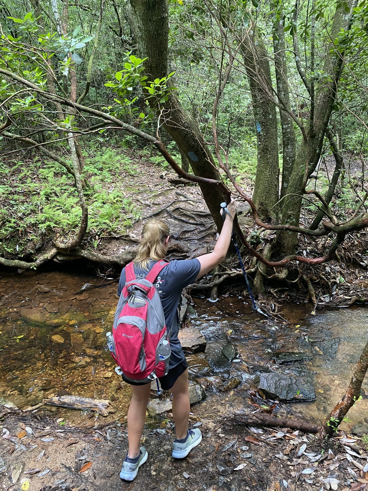 Step by Step: Hiking with Heart, Not Hurry