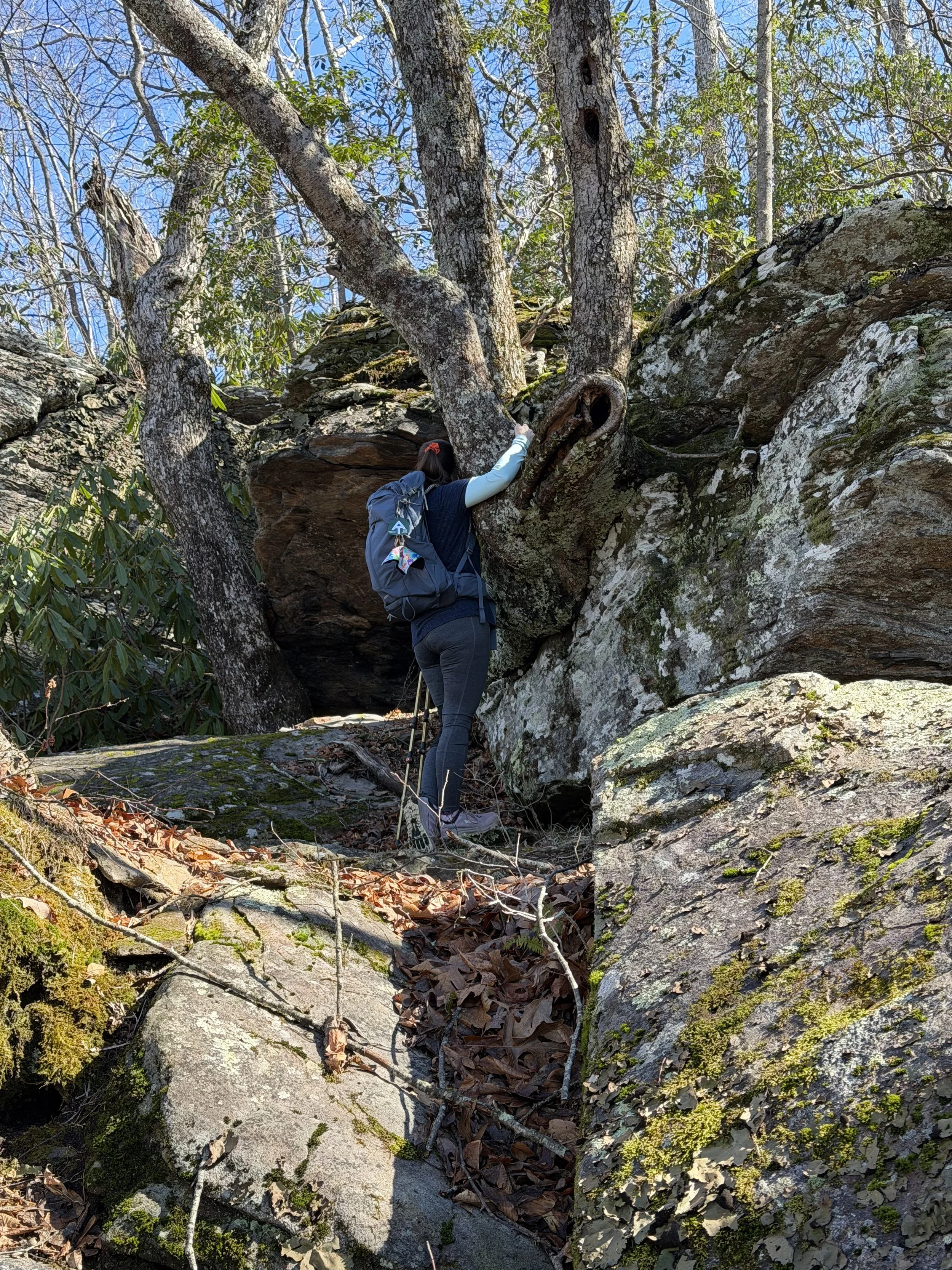 A person climbing a rocky outdoor terrain surrounded by trees and fallen leaves.
