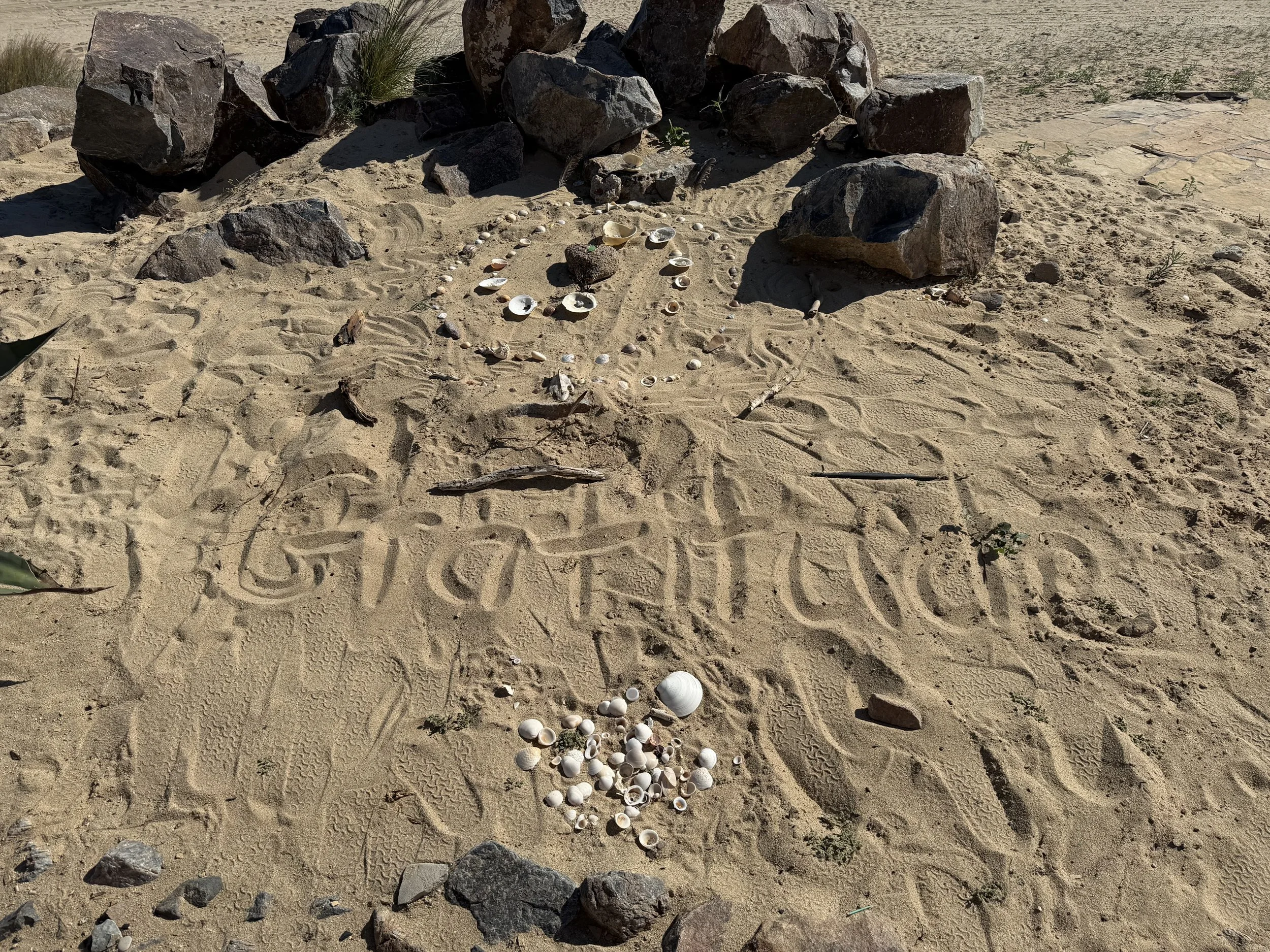 A sandy beach with numerous rocks and shells arranged in a circular pattern. There are footprints and tracks in the sand, with some sparse vegetation. The background shows more sand and rocks.