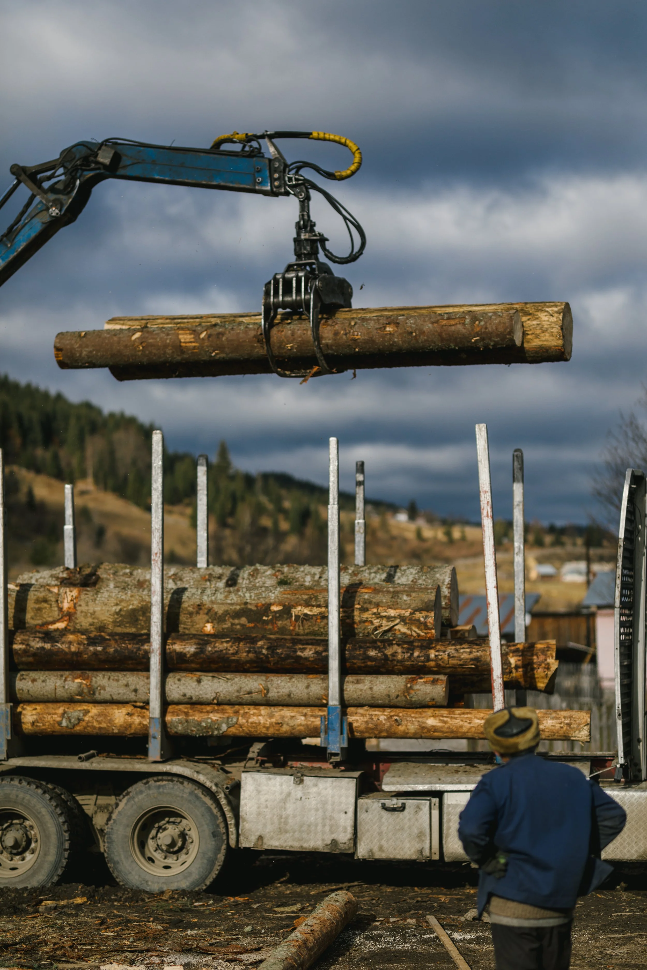 logging-truck-with-fresh-timber-in-rural-setting-2026-01-05-05-10-38-utc.jpg