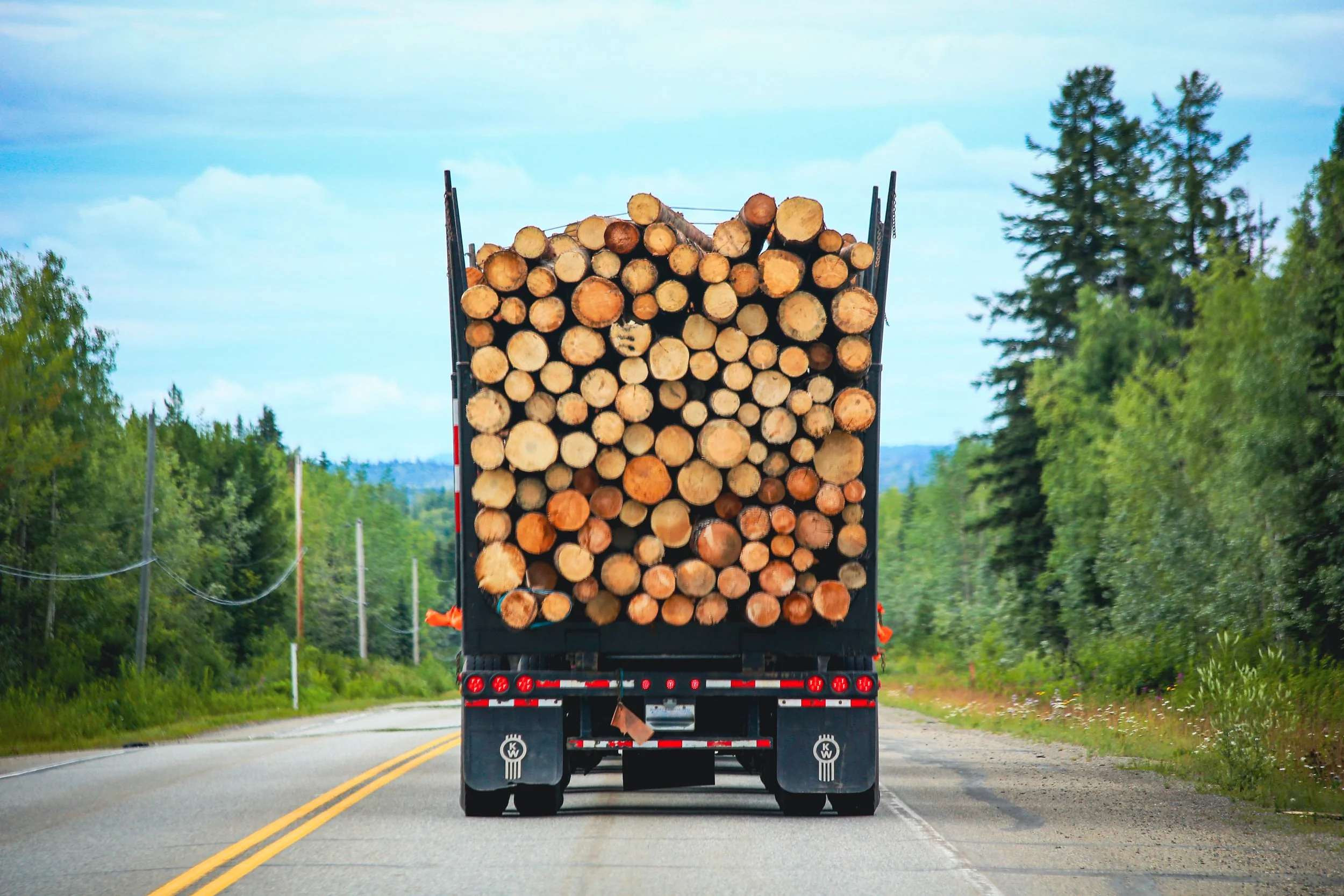 back-view-of-a-big-logging-truck-hauling-a-full-lo-2026-03-09-03-23-05-utc.jpg