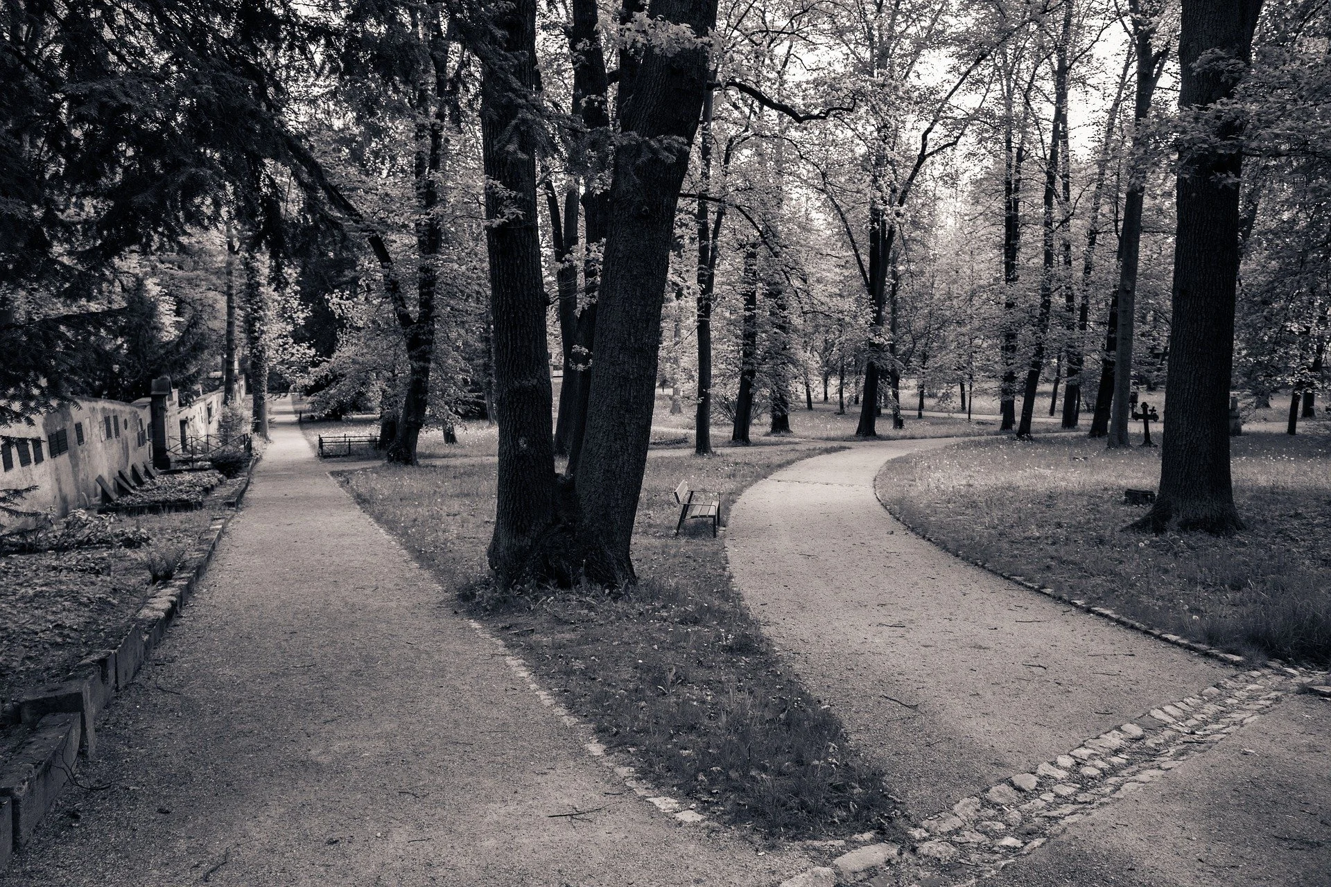Liminal Living