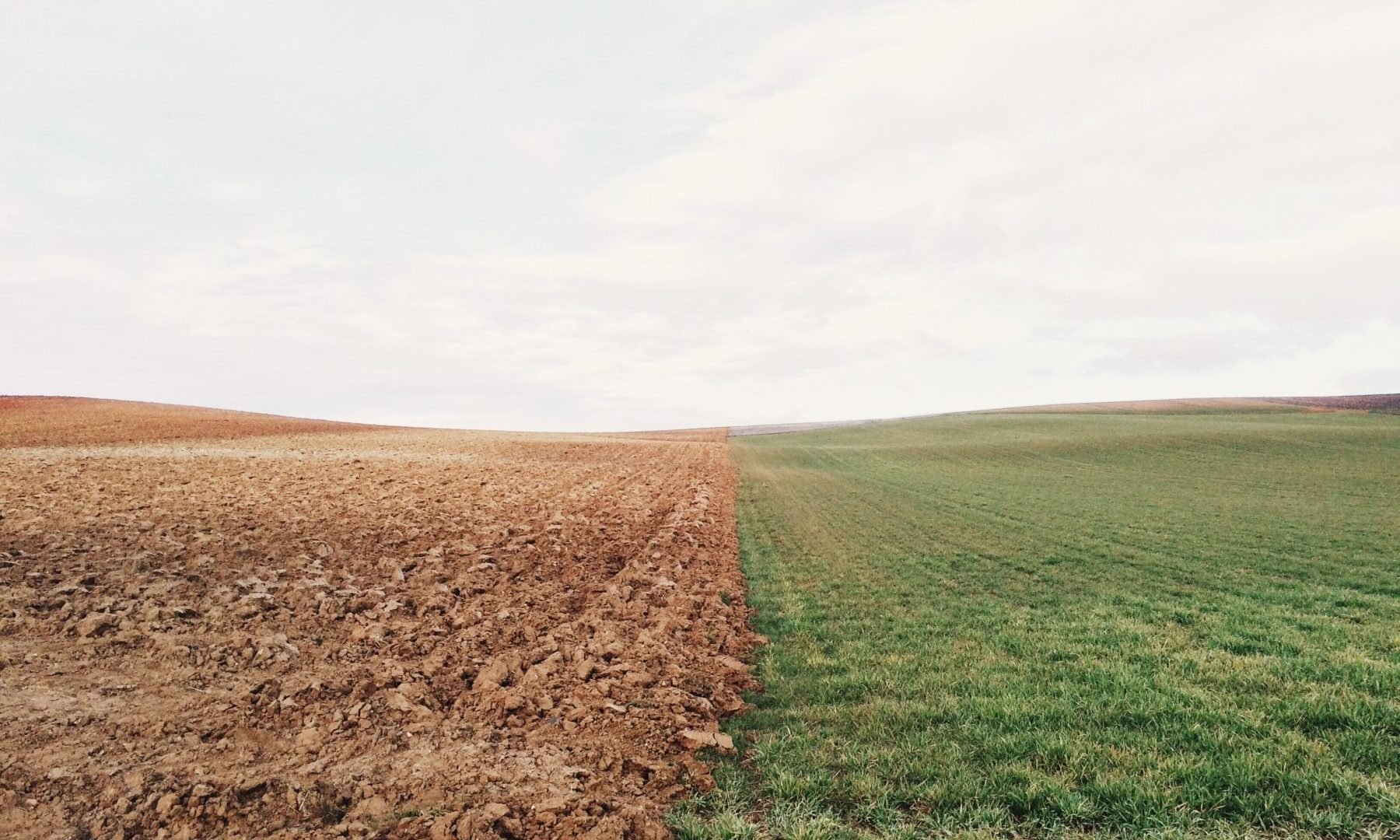 From Terra Firma, to Terra Incognita, to Terra Sancta