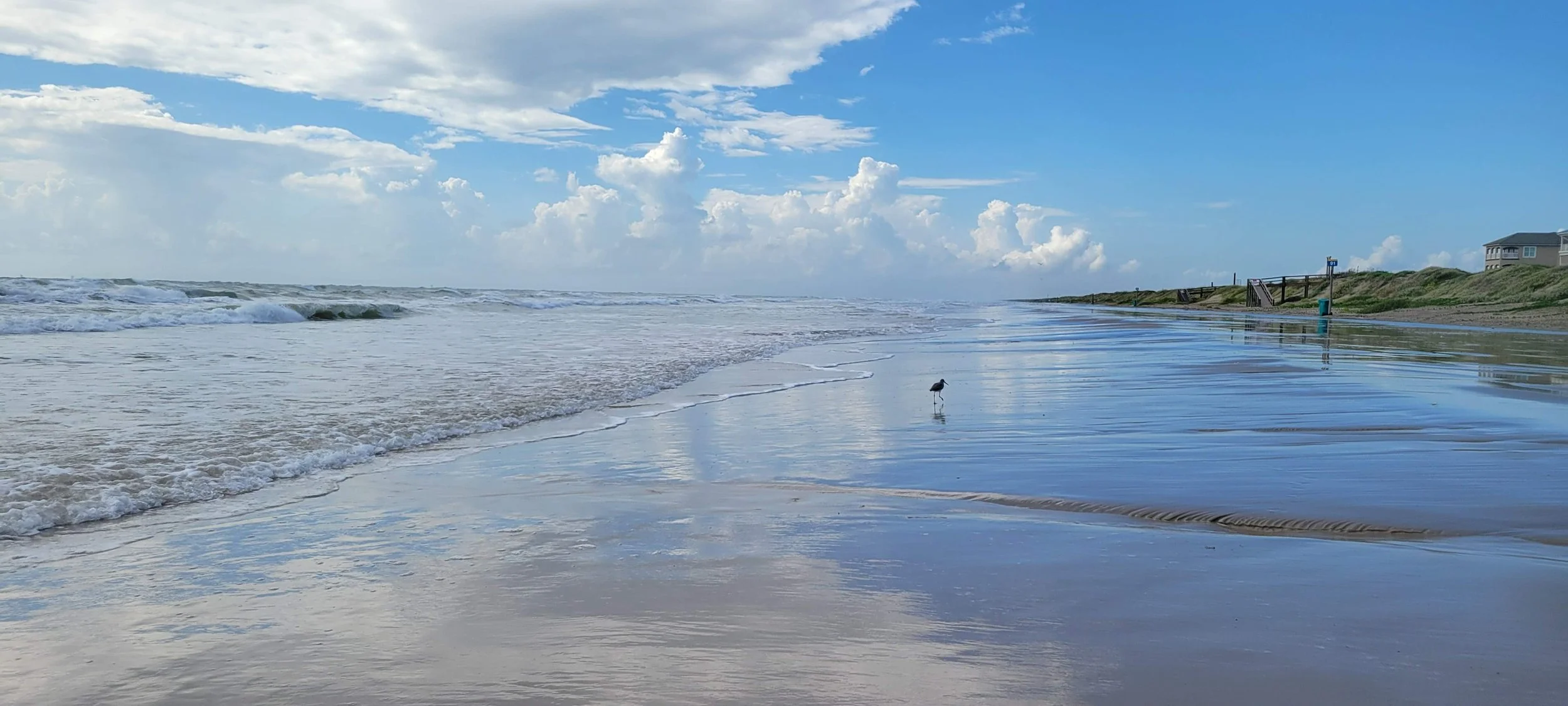 A wide view of a beach with waves gently crashing on the shore, a seagull standing on the wet sand, and houses on the distant dunes under a bright blue sky with scattered clouds.