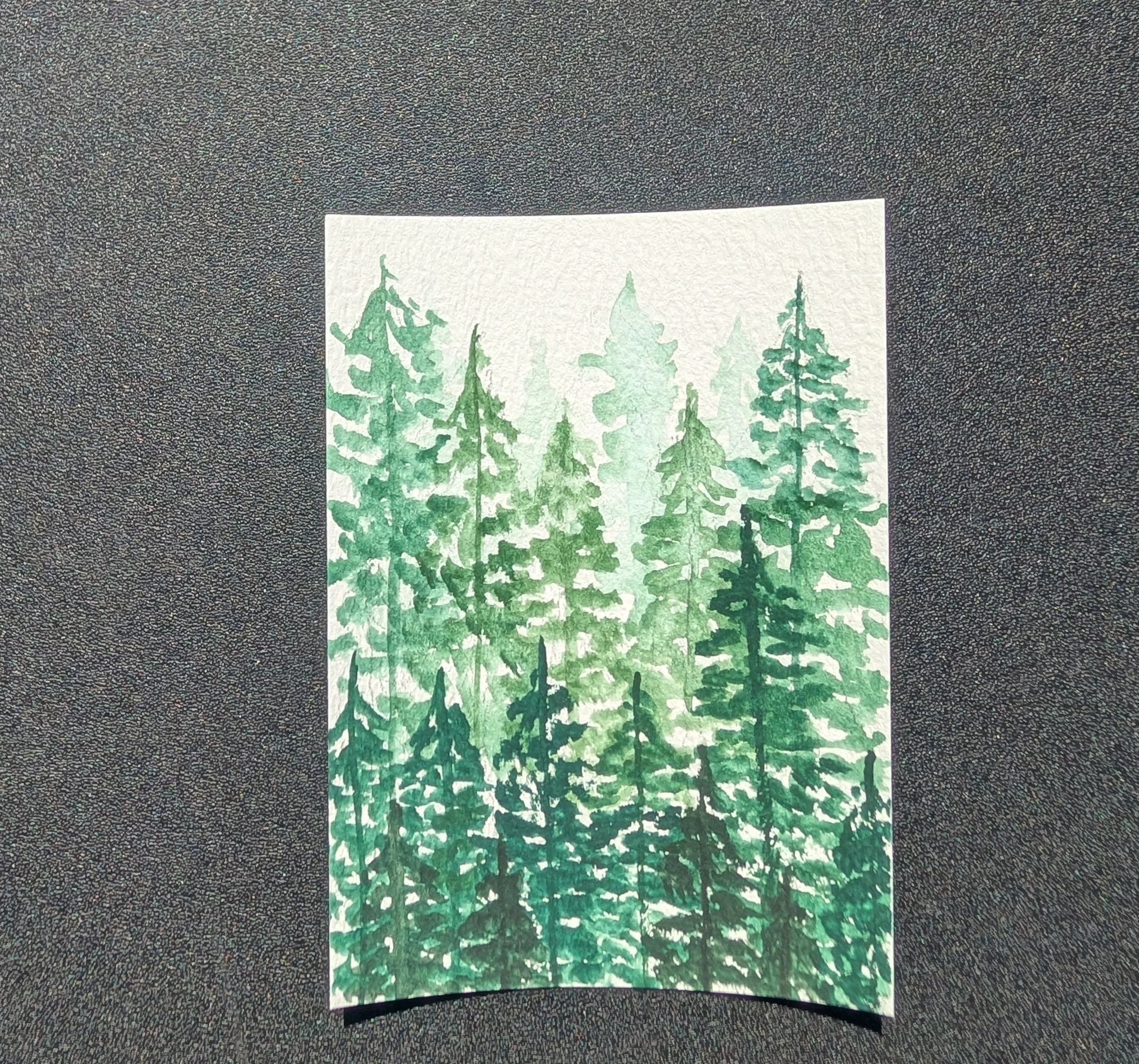 PXL_20260528_160359135.jpg