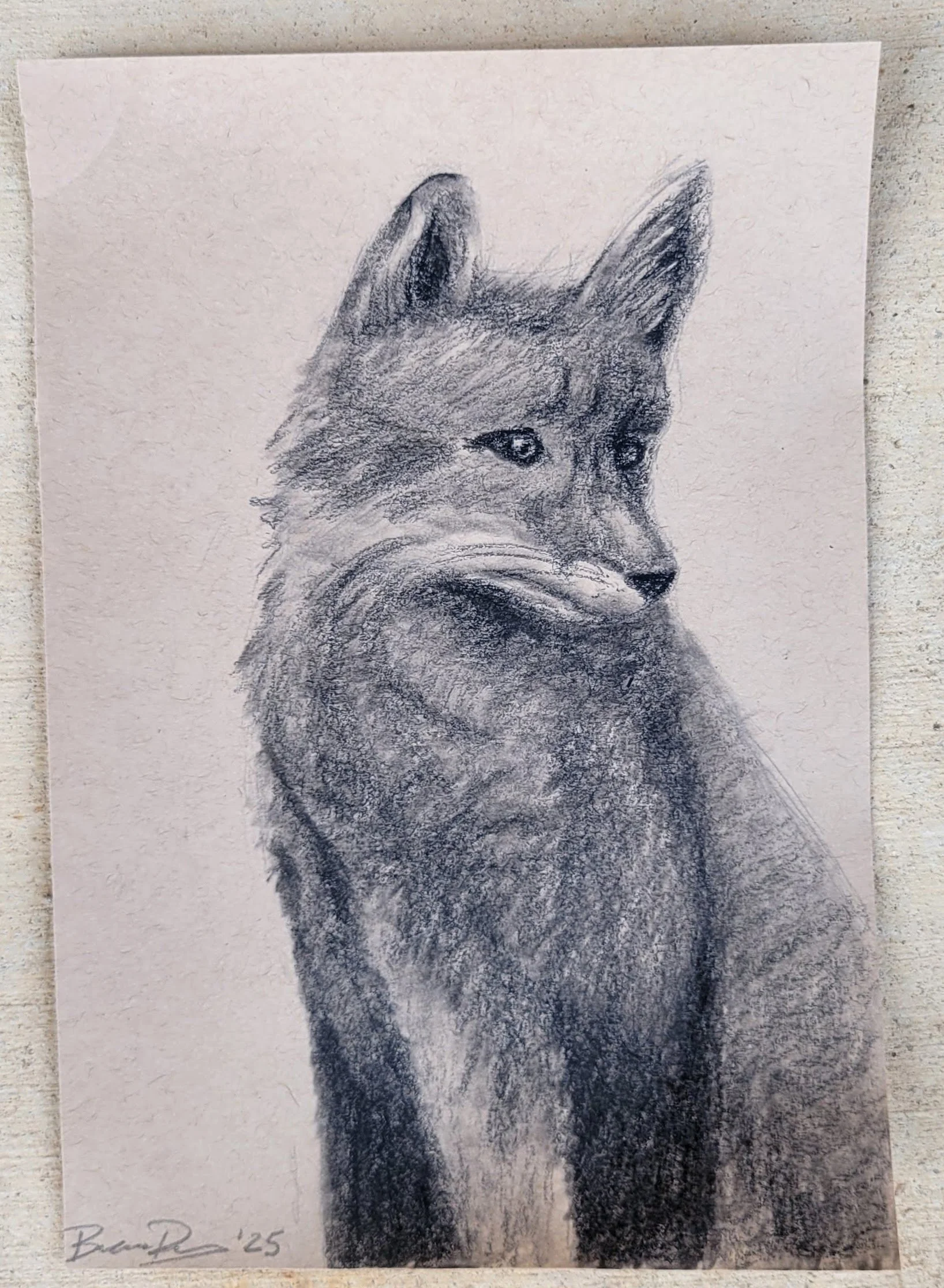 Fox