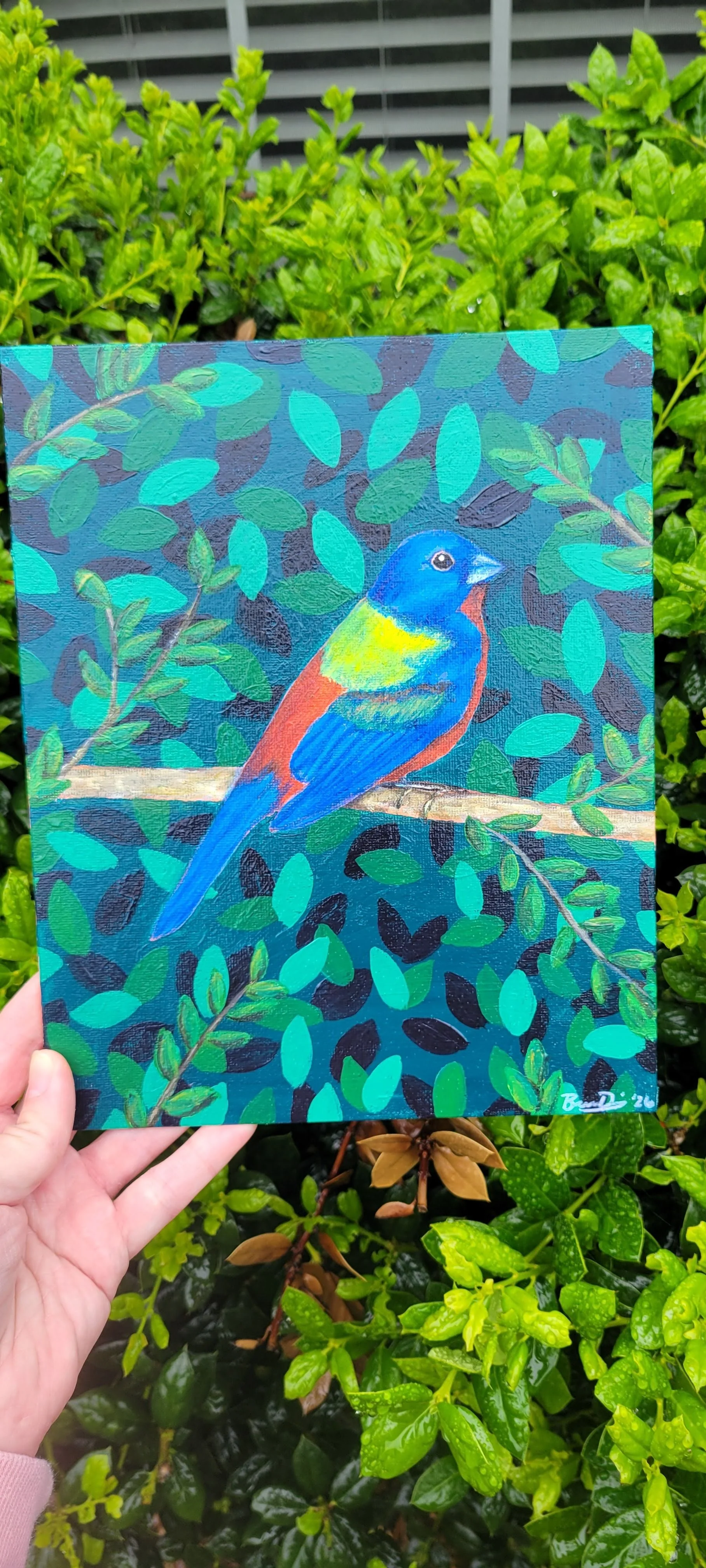 Painted Bunting