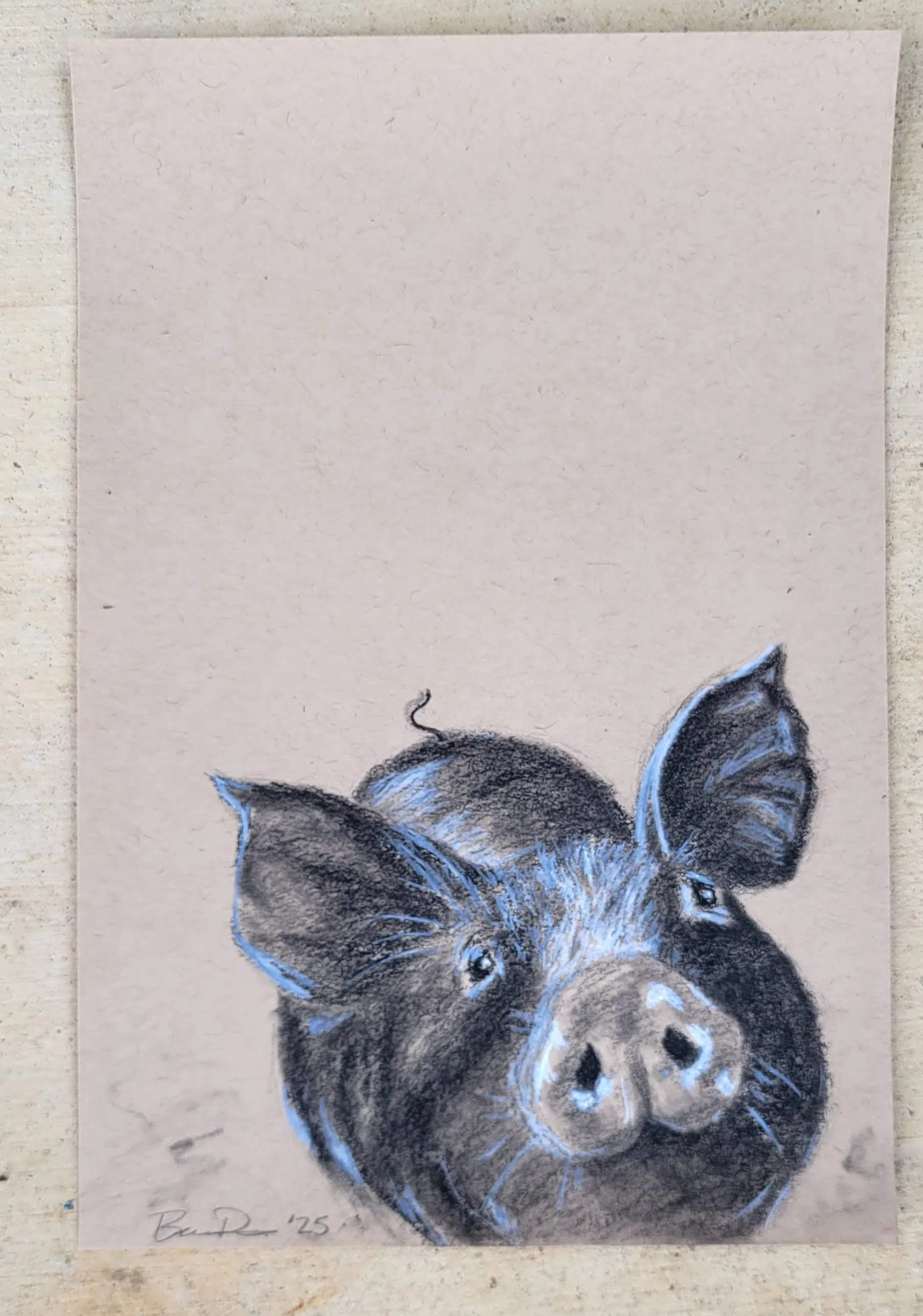 Pig
