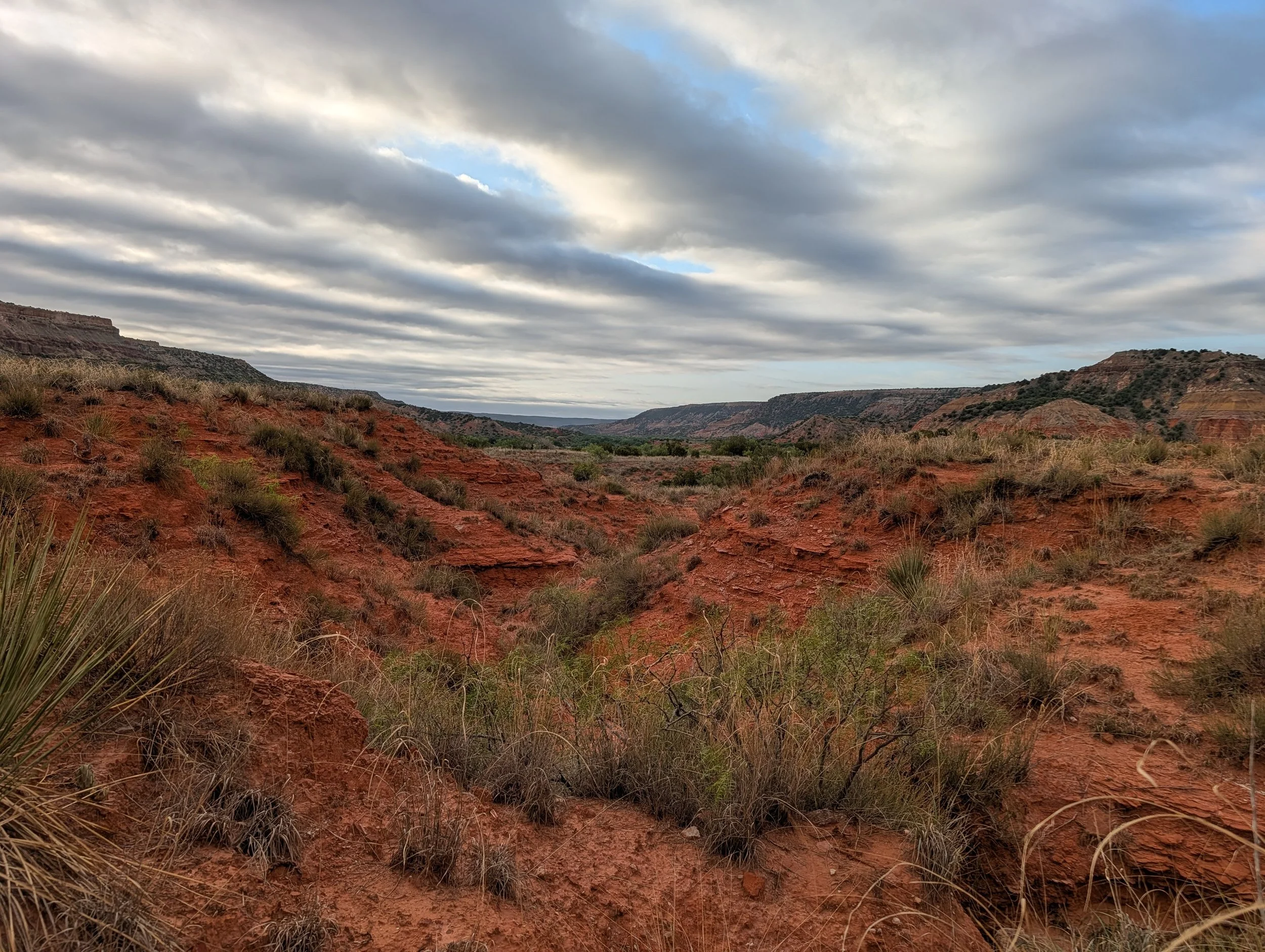 A desert landscape with reddish-brown terrain, sparse desert plants, and distant hills under a cloudy sky.
