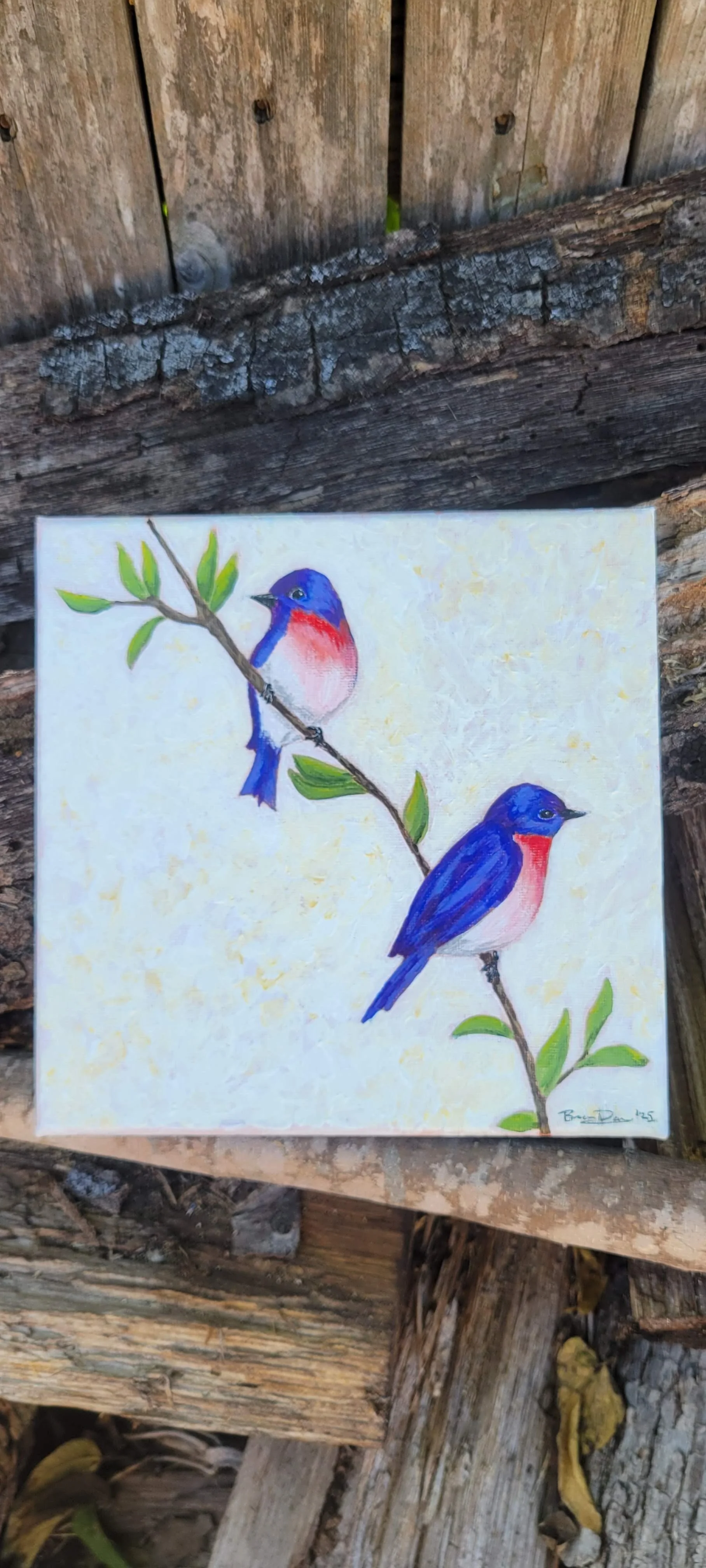 Bluebirds