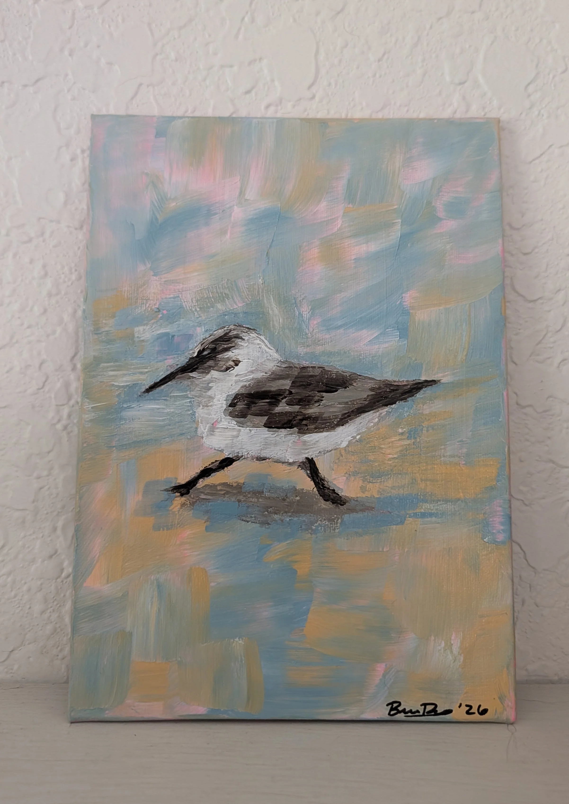 Sanderling