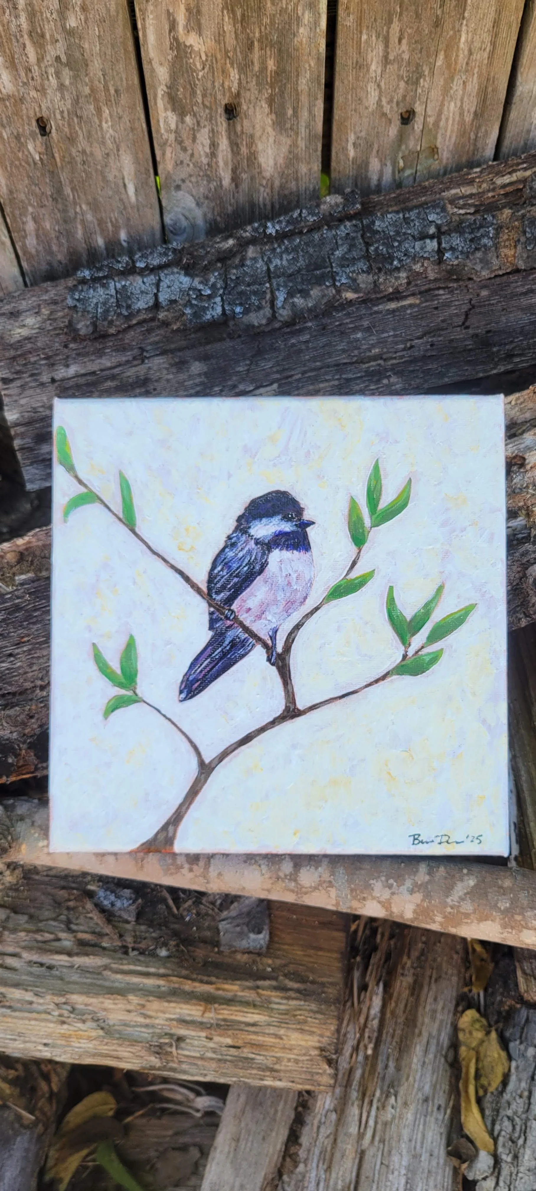 Chickadee