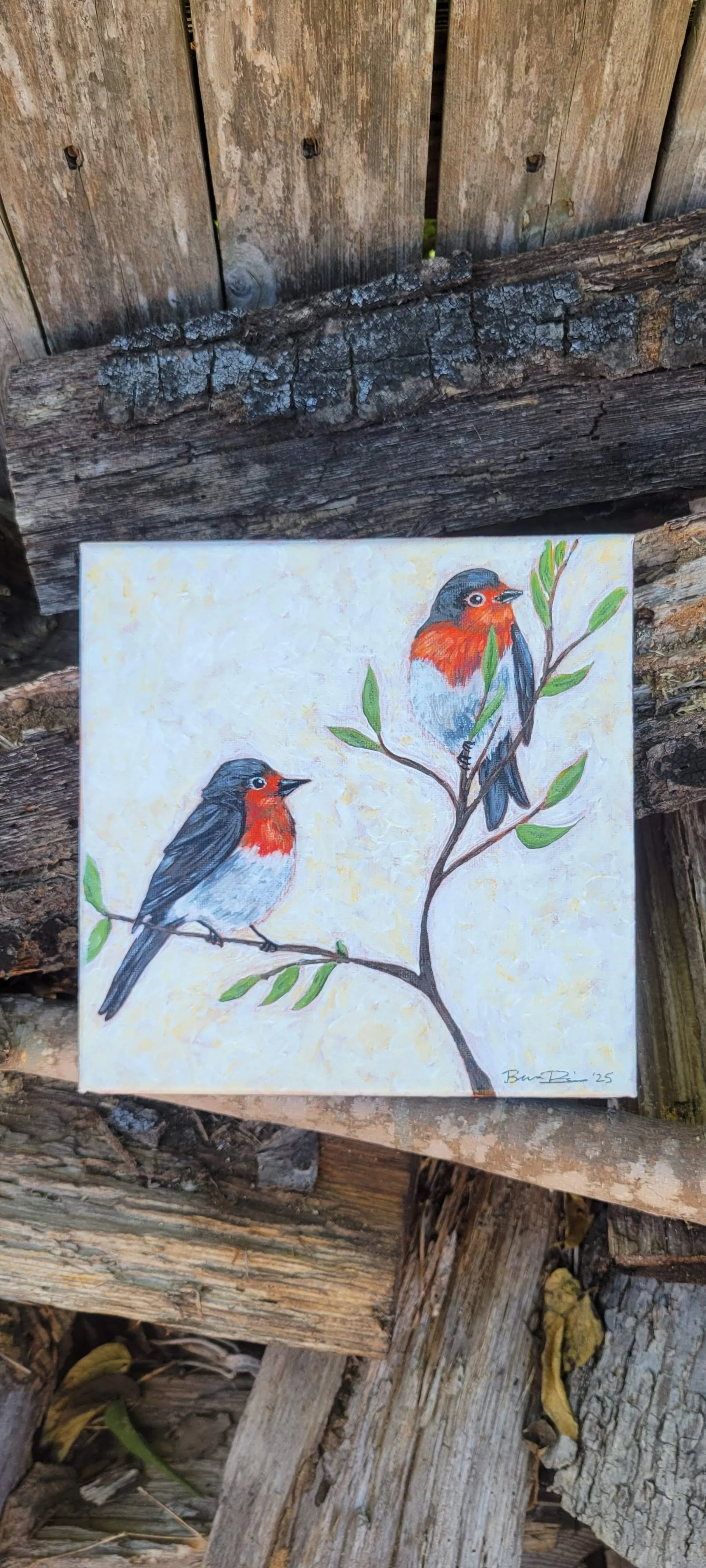 Robins