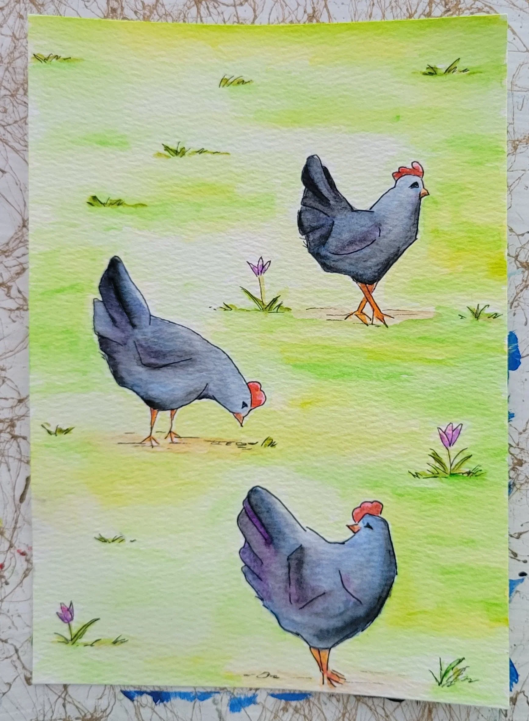 Chickens