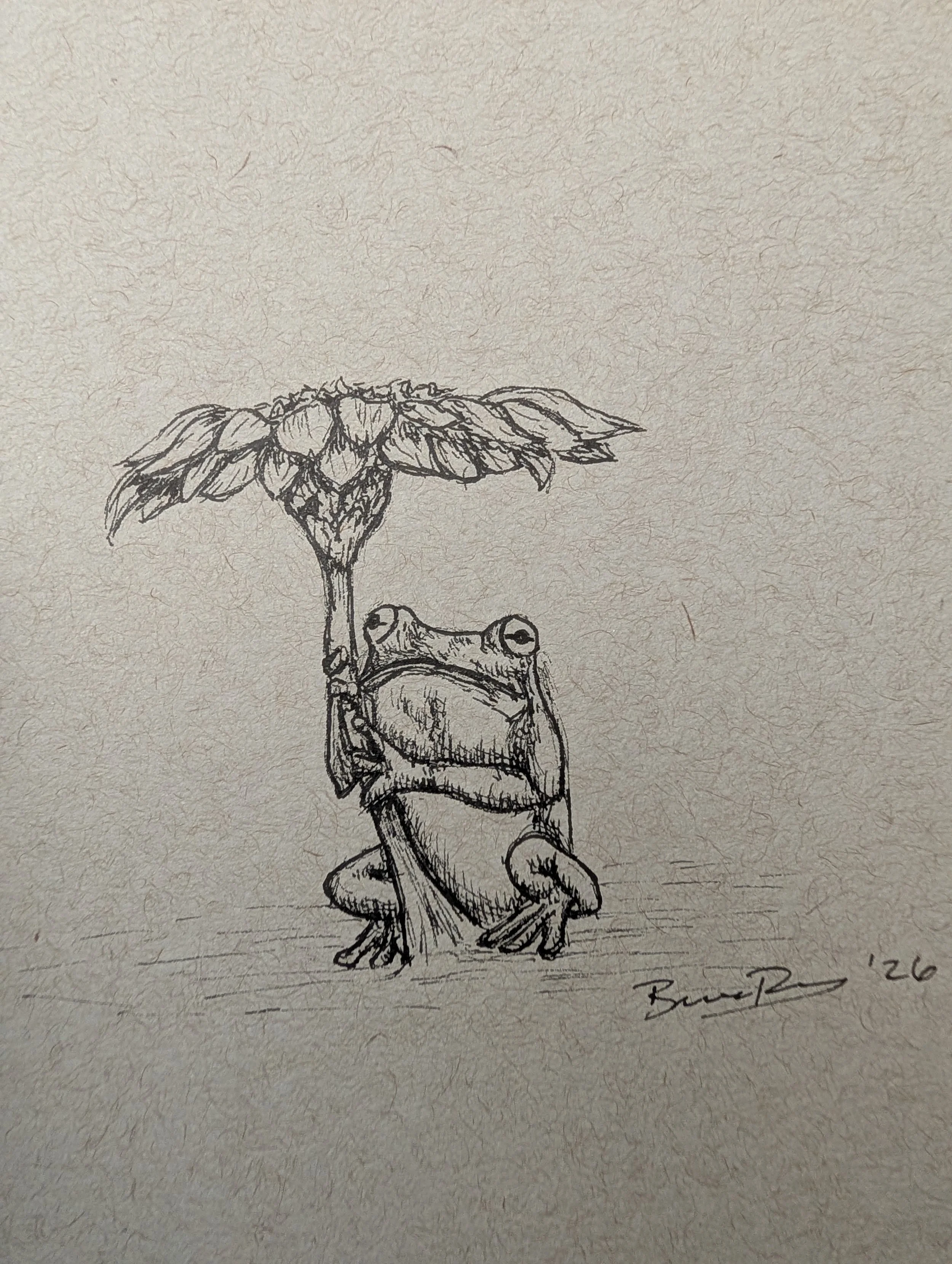 Nature's Umbrella