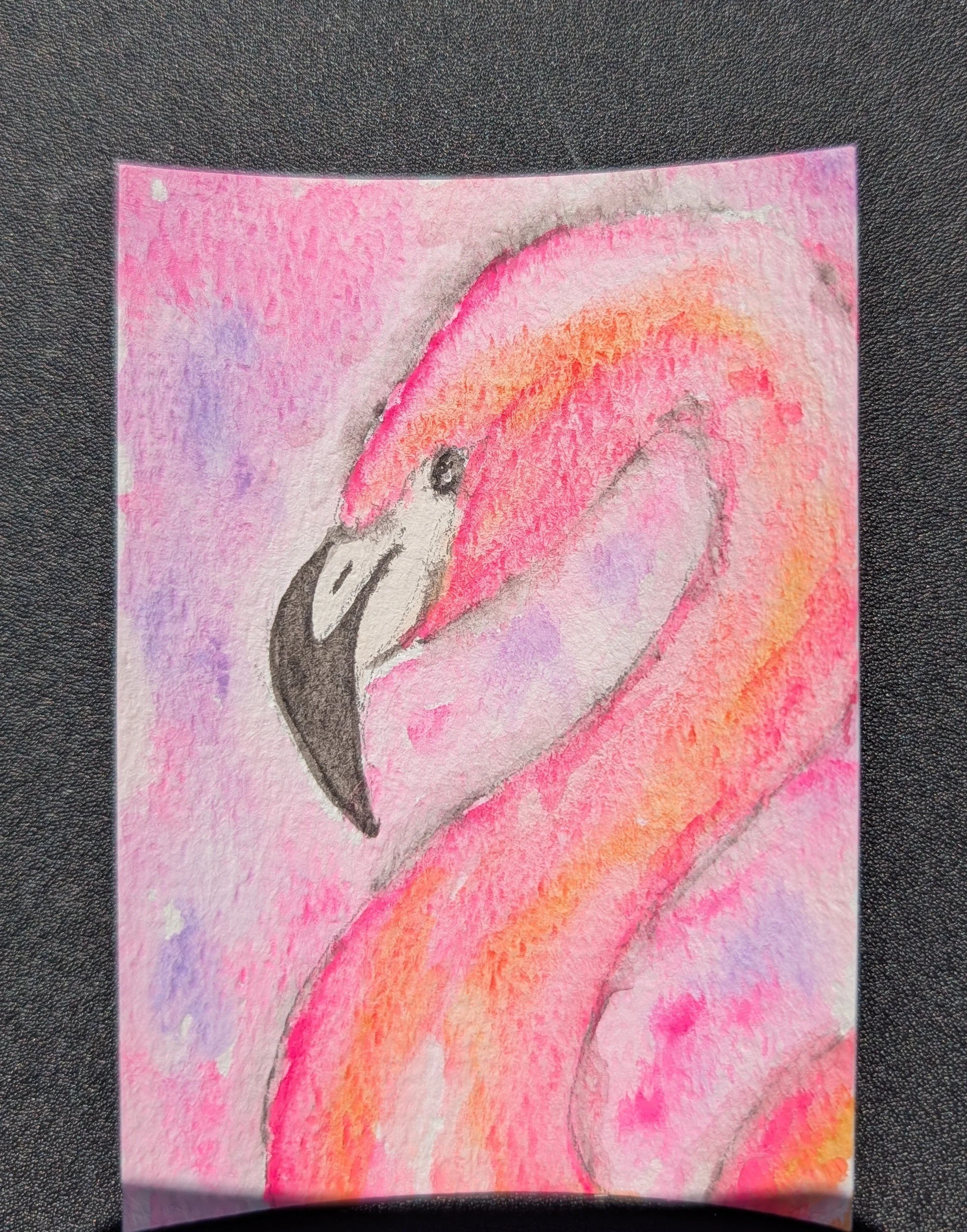 Flamingo