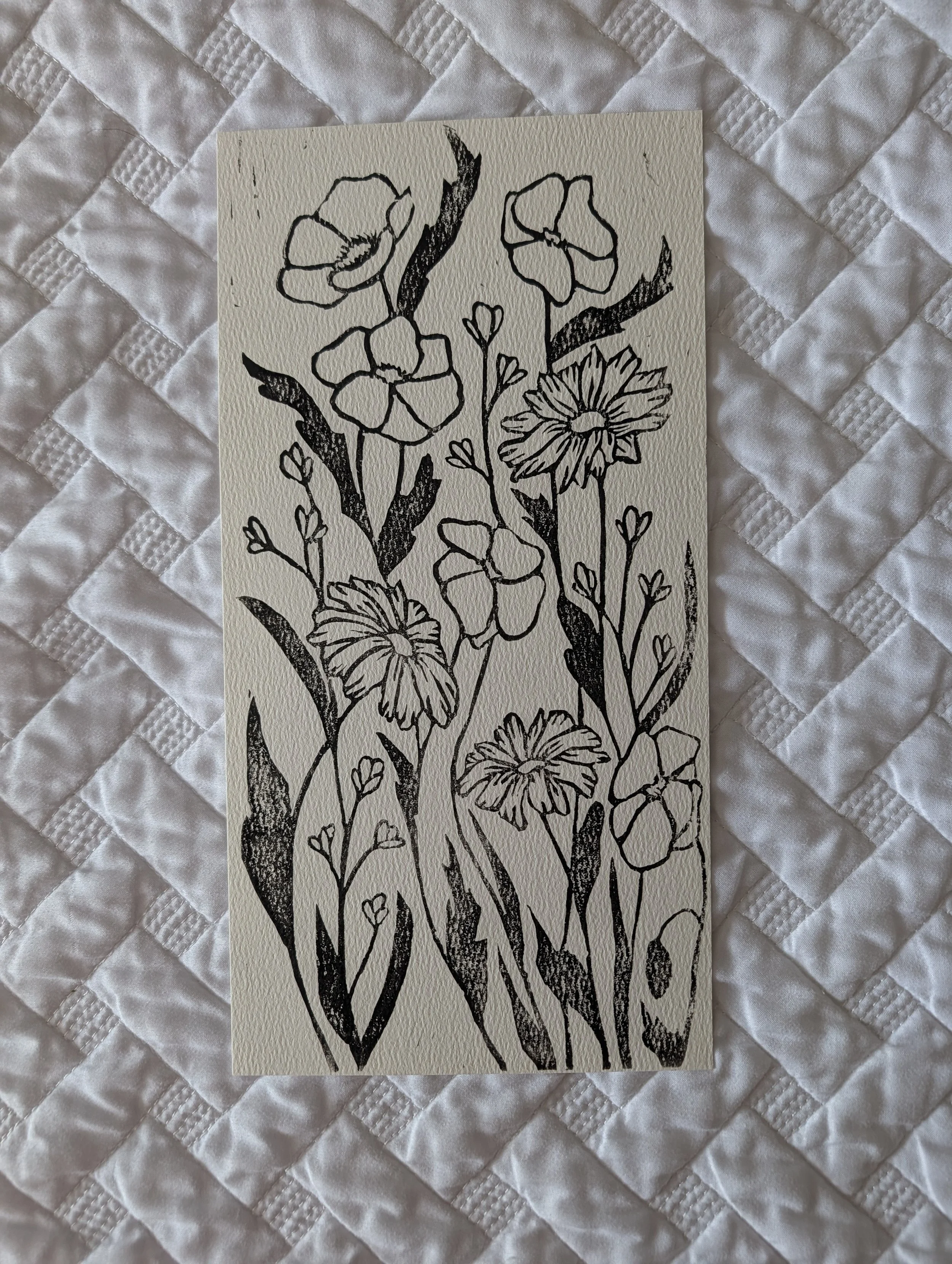 Poppies and Daisies