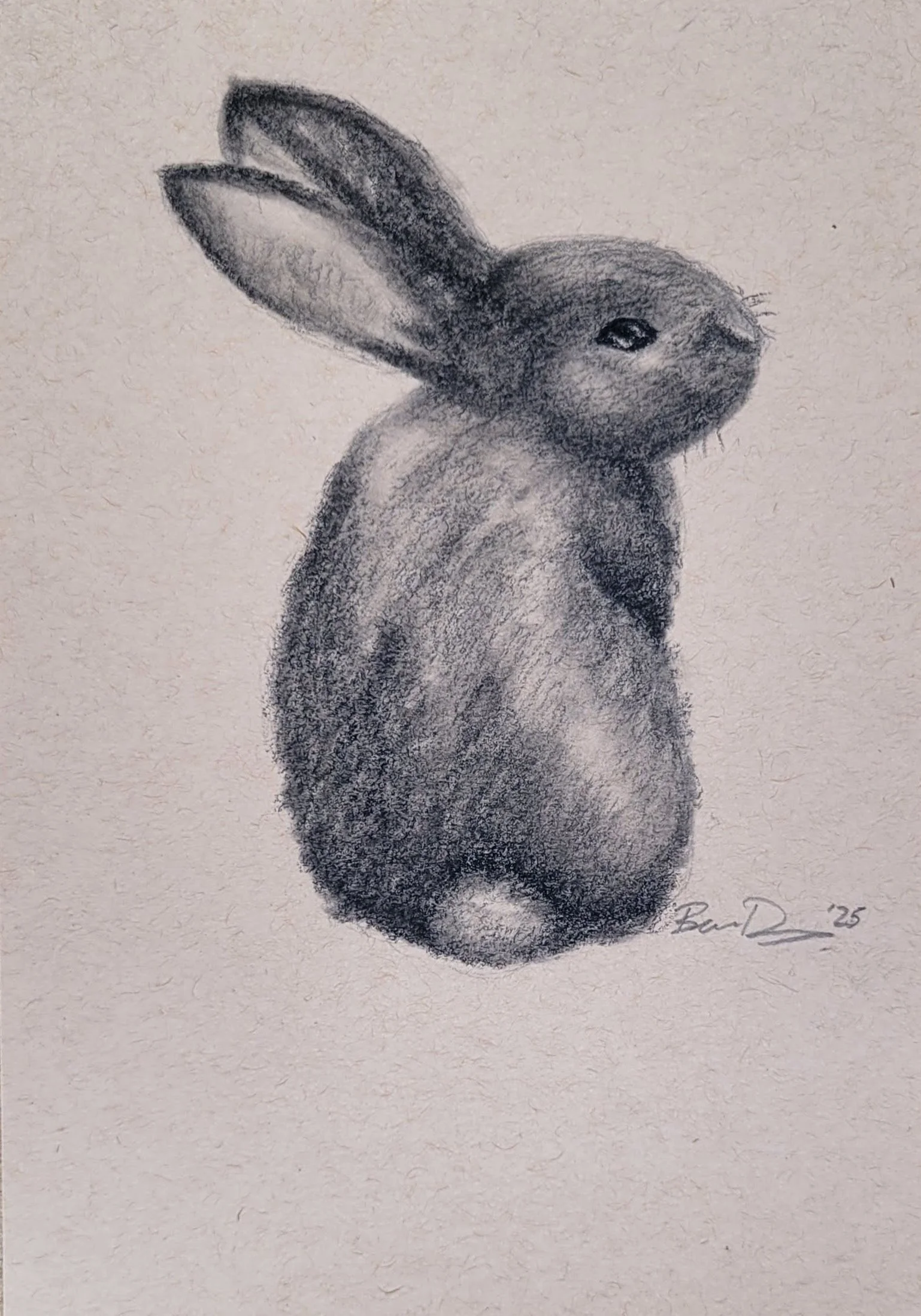 Bunny