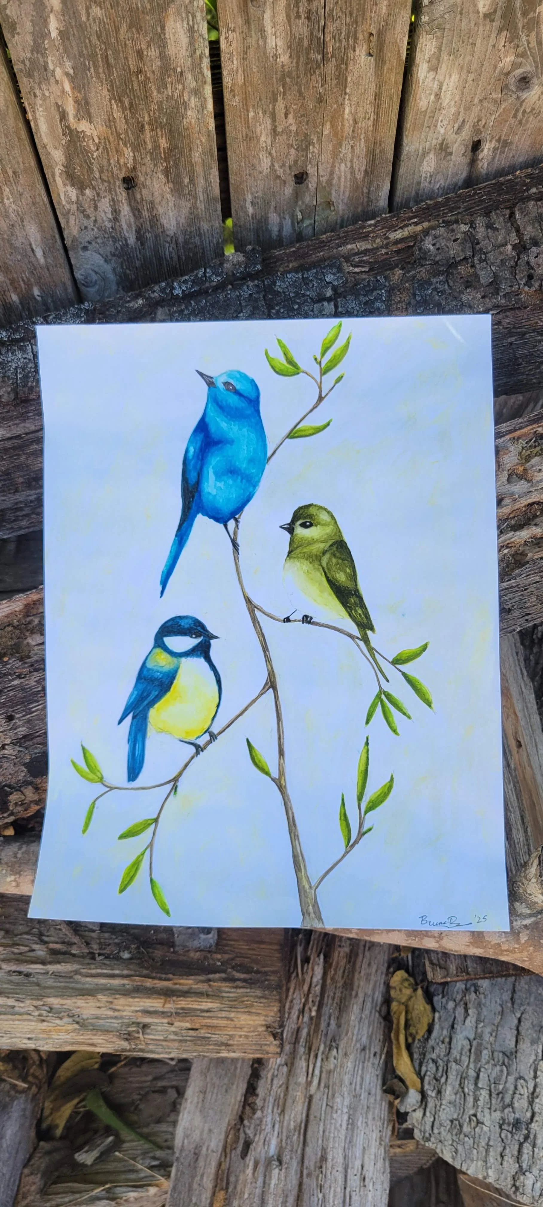 Bird Party