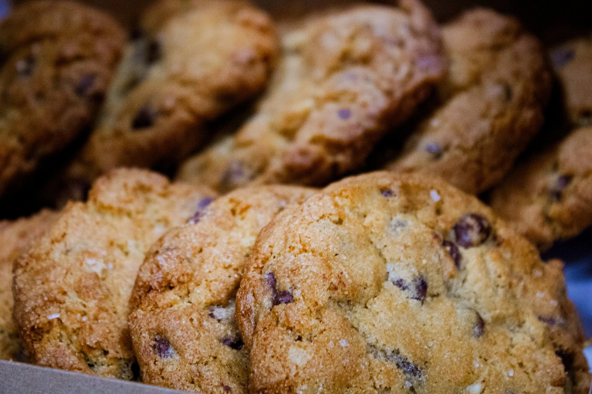 Close-up of freshly baked chocolate chip cookies with a golden-brown surface and visible chocolate chips.