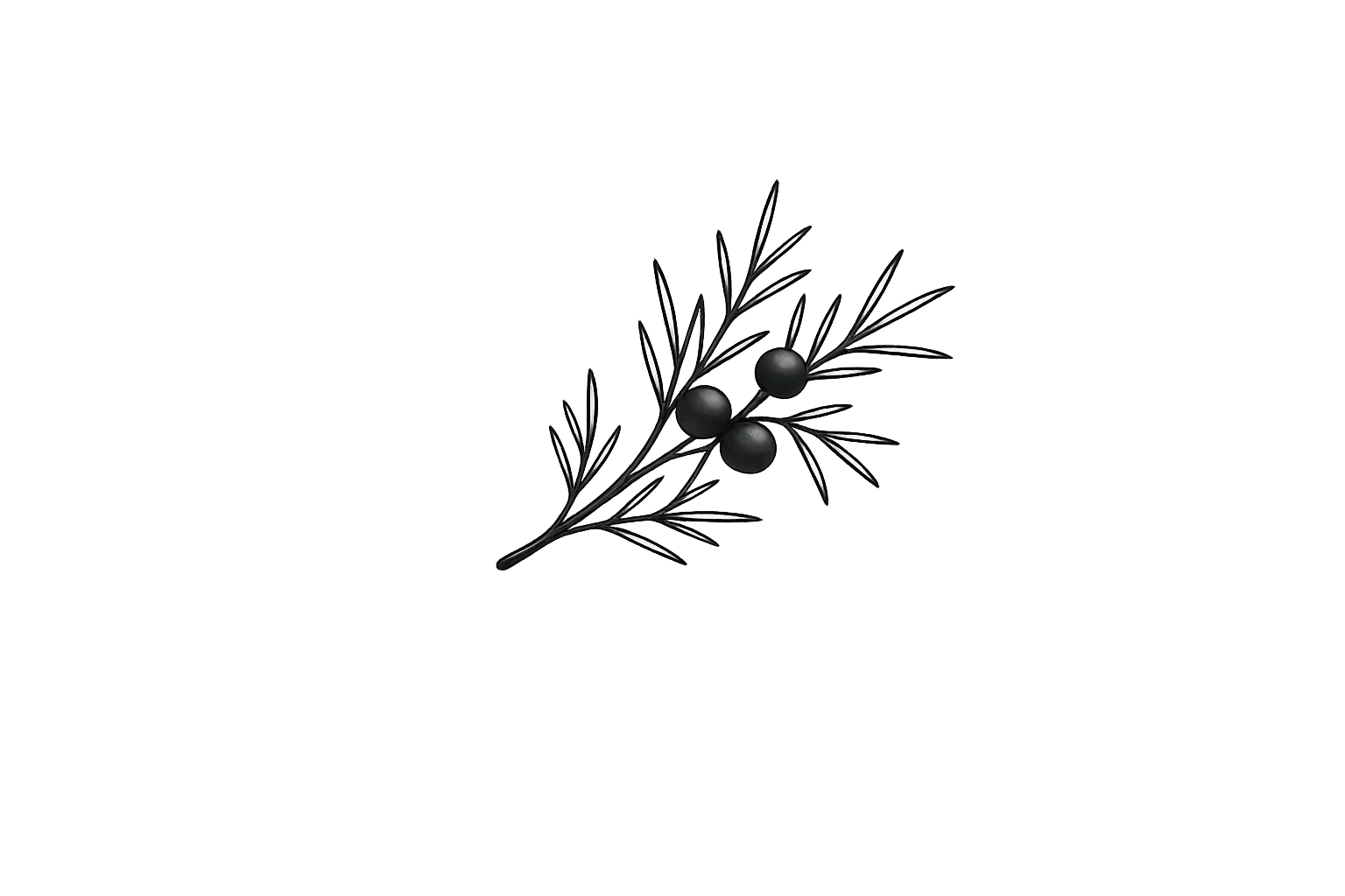 Black and silver decorative branch with three black berries or buds on a black background