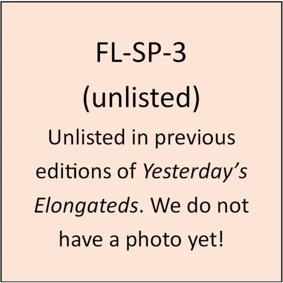 FL-SP-3 (unlisted): Horizontal with rope border & wire border inside it.  On same curve as top of coin around top and sides /MIAMI FLORIDA ST. PETERSBURG/.  At center, left to right depicted, Palm Tree – Tall Tower – Pelican.  At bottom on same curve