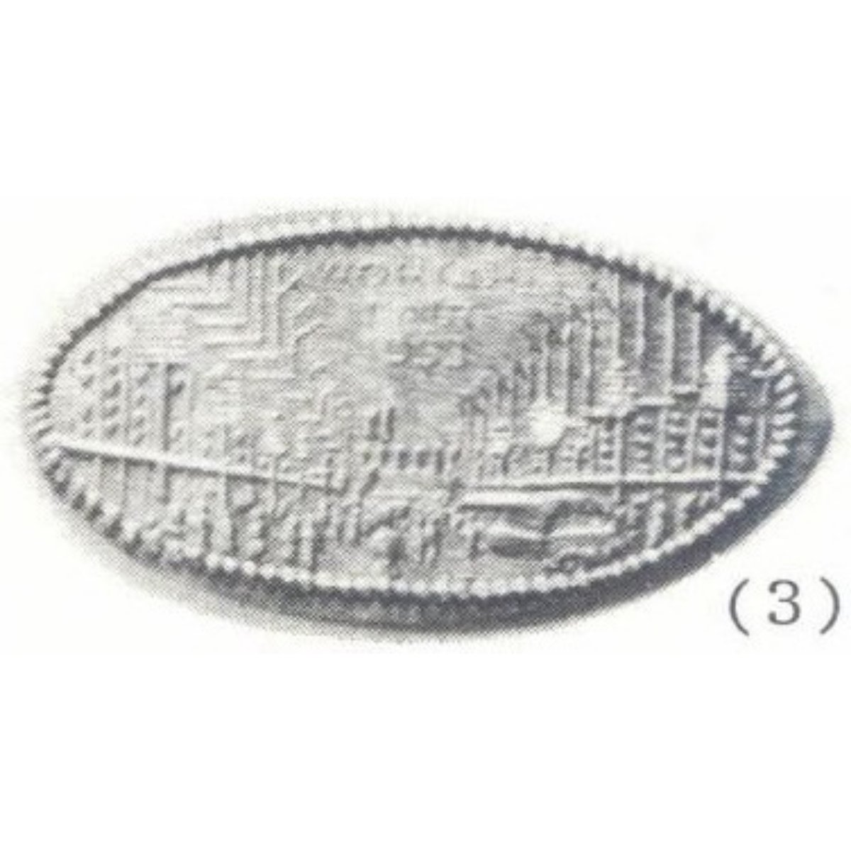 IL-CPIE-15 (ILL-CPIE 15)