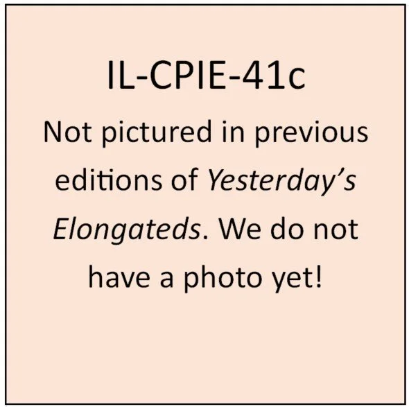 IL-CPIE-41c