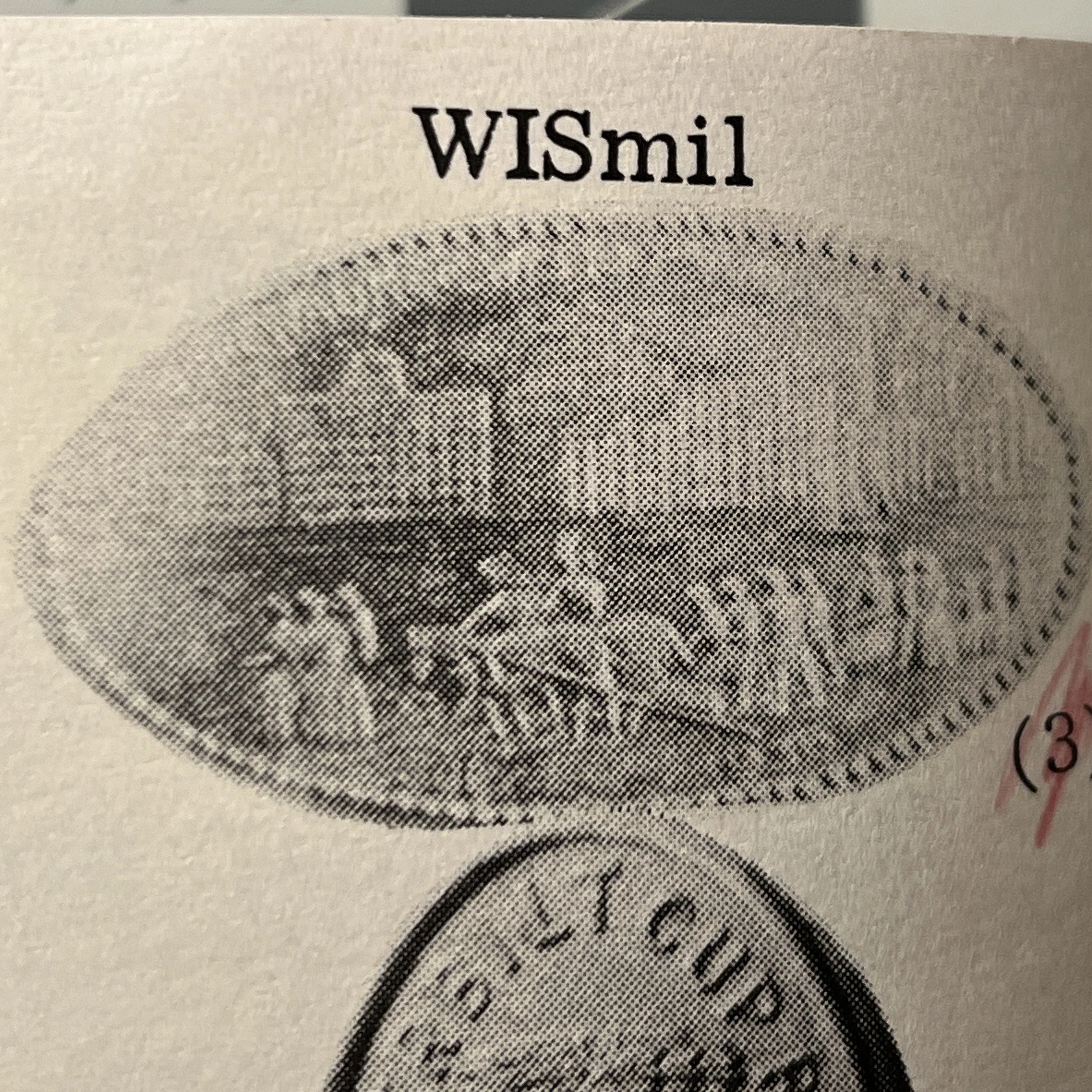 WI-MIL-01 (WISmil 1)
