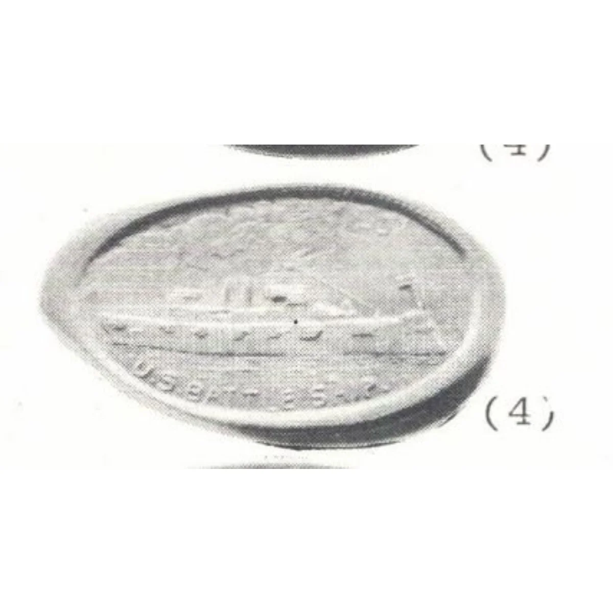 VA-JTE-06-a (VIR-JTE 6a)
