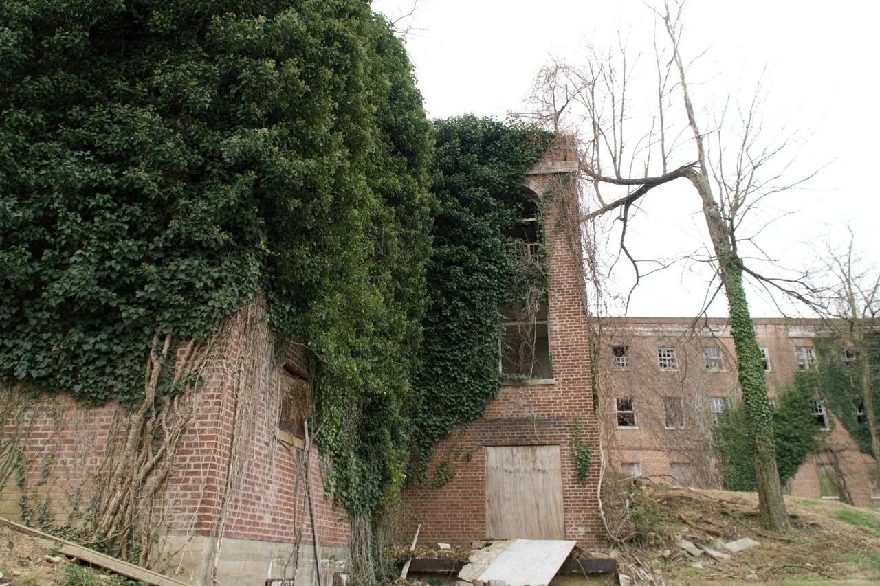 An abandoned brick building overgrown with dense ivy, with broken windows and leafless trees in the foreground.