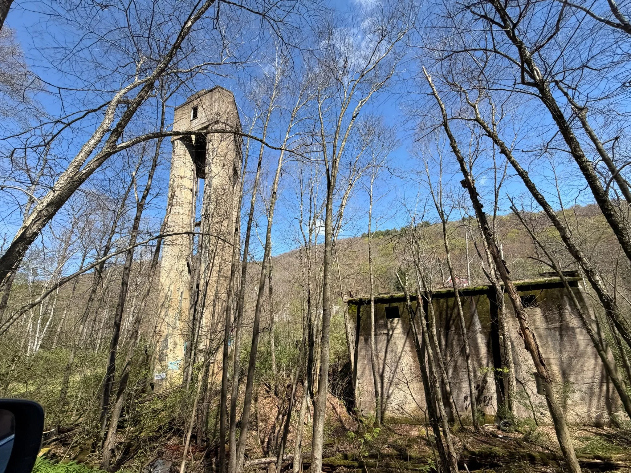 A view of leafless trees surrounding an old, tall fire tower against a blue sky.