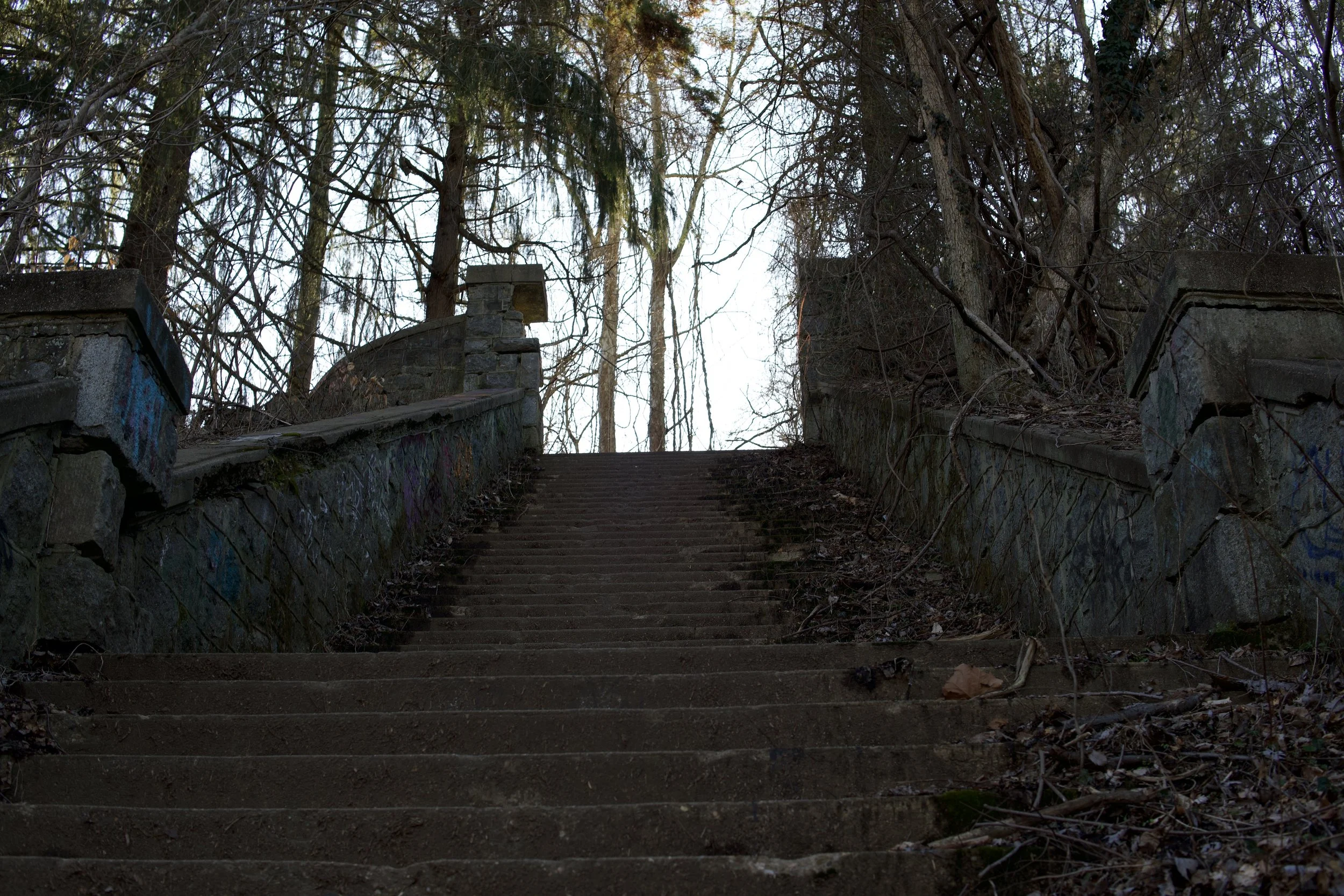An outdoor scene of a stone staircase with overgrown vegetation and leafless trees surrounding it, leading to a brighter sky.