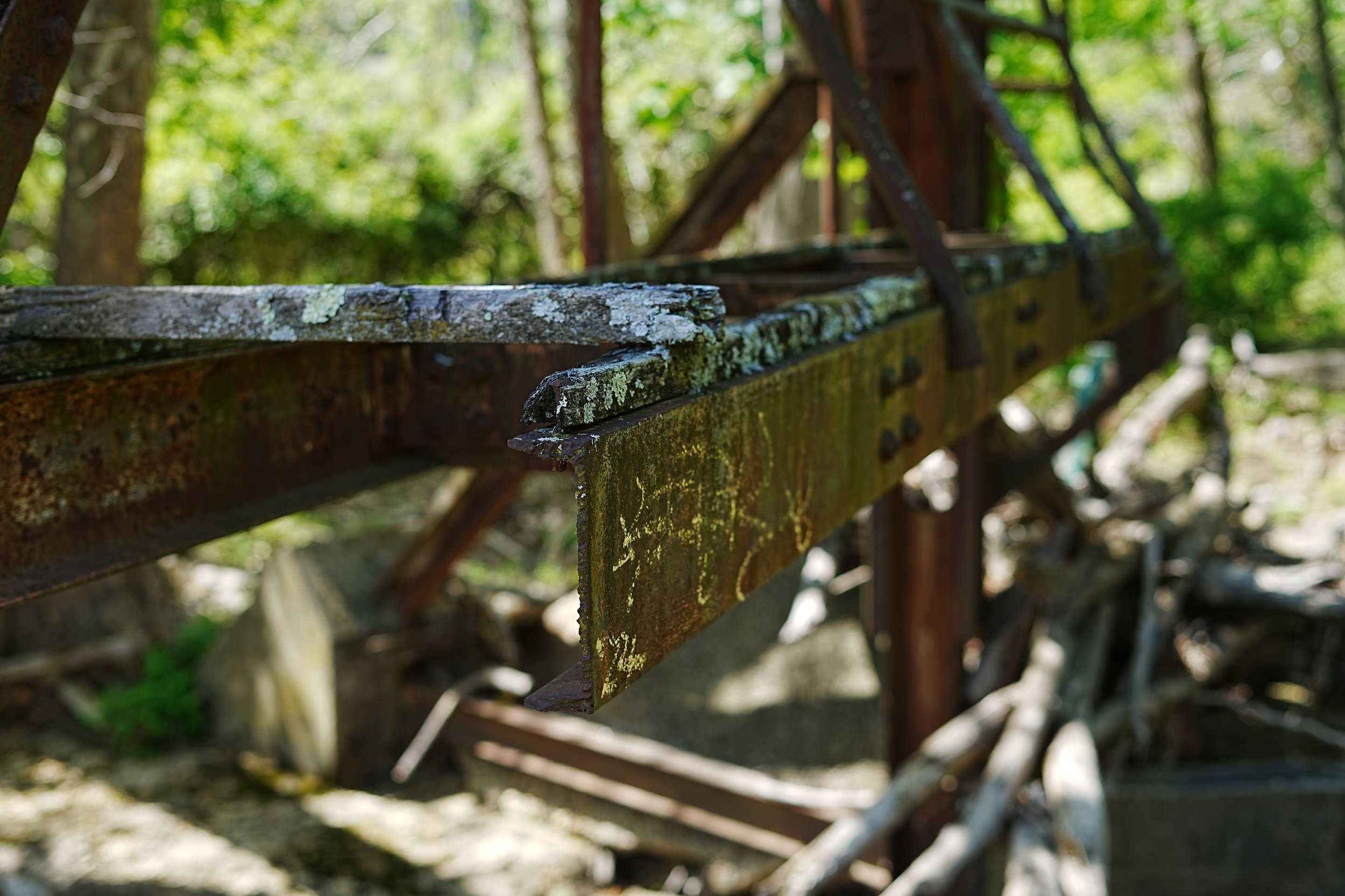 Close-up of an old, moss-covered wooden railing in a lush green forest setting.