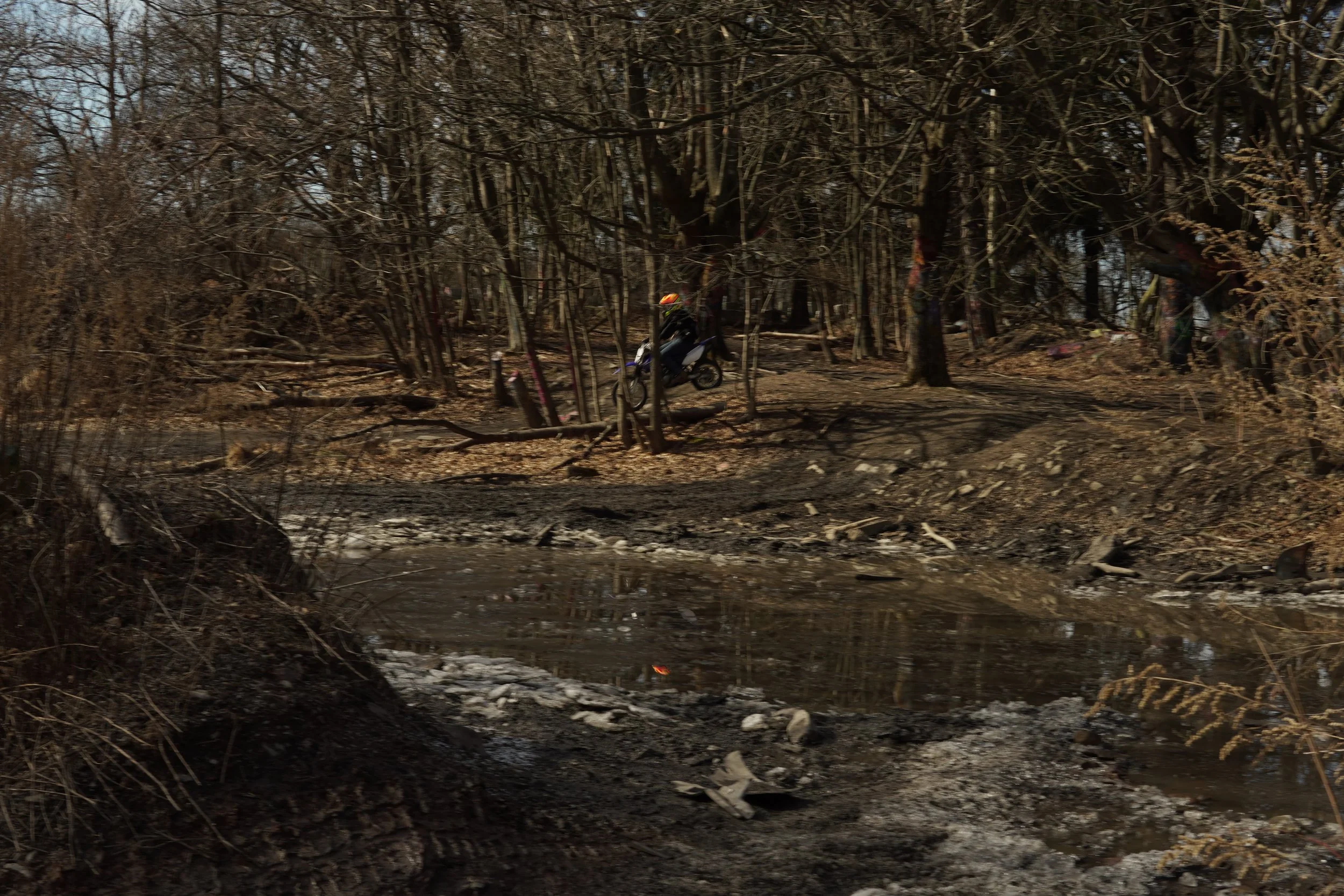 A person riding a bicycle through a wooded area with leafless trees and a small stream in the foreground.