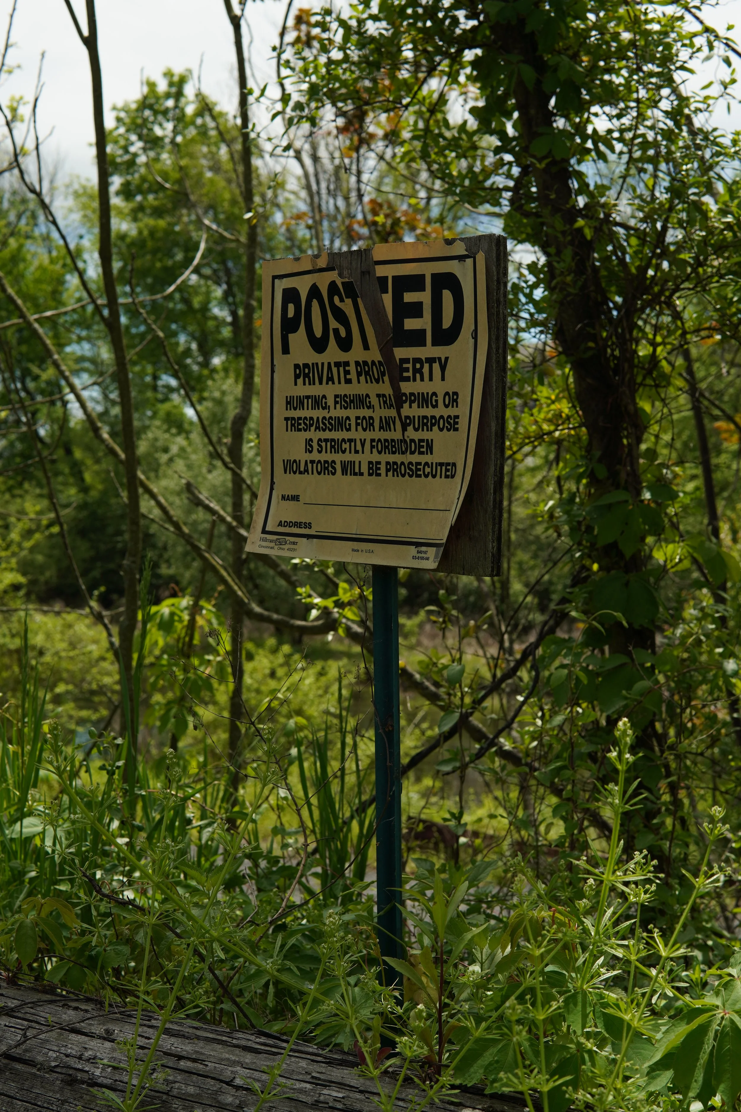 A weathered sign with black text on a yellow background, posted on a wooden post amid green plants and trees in a wooded area. The sign indicates private property and warns against hunting, fishing, trapping, or trespassing and states violators will 