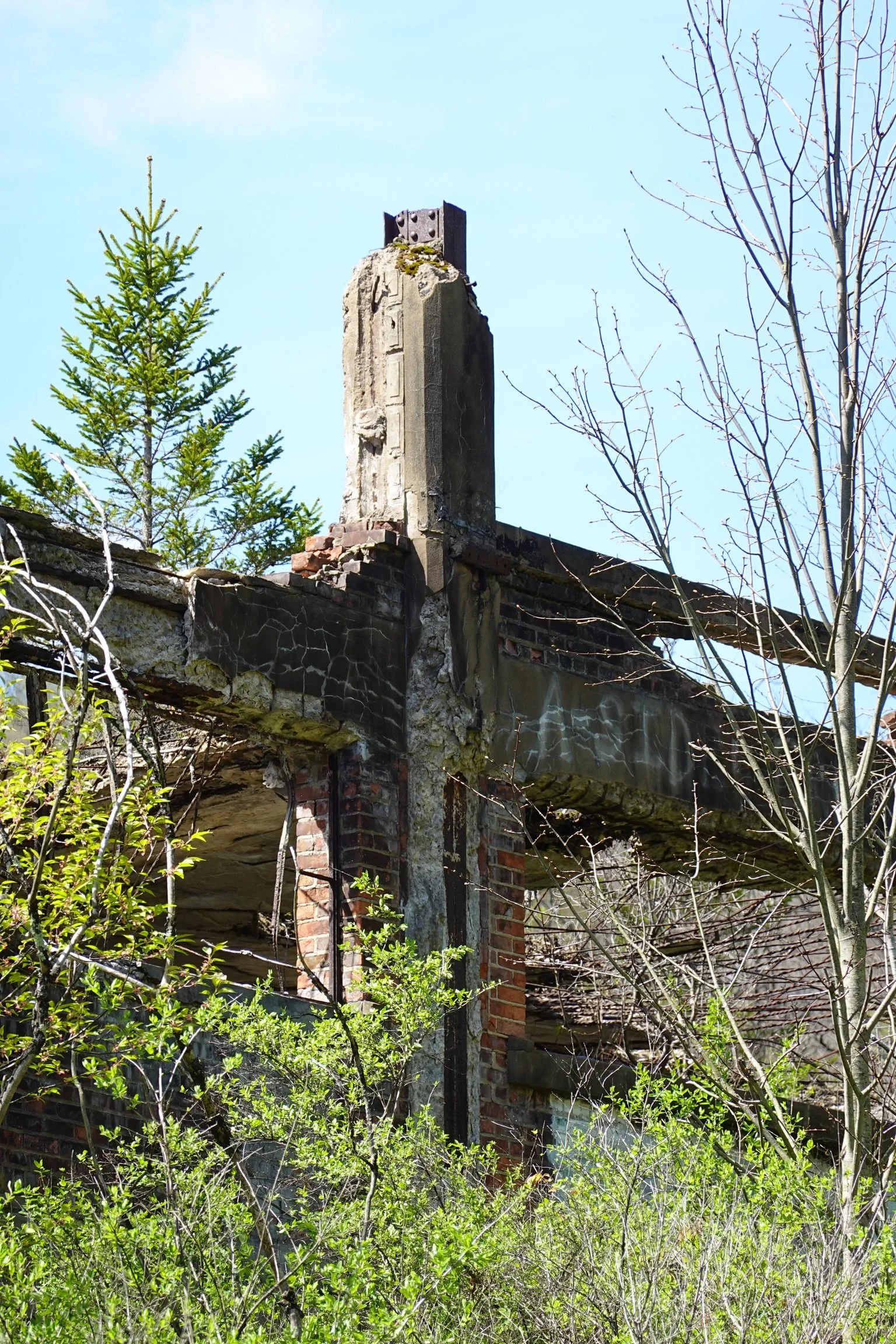 Dilapidated brick building with exposed bricks, overgrown with greenery, and leafless trees, under a clear blue sky.