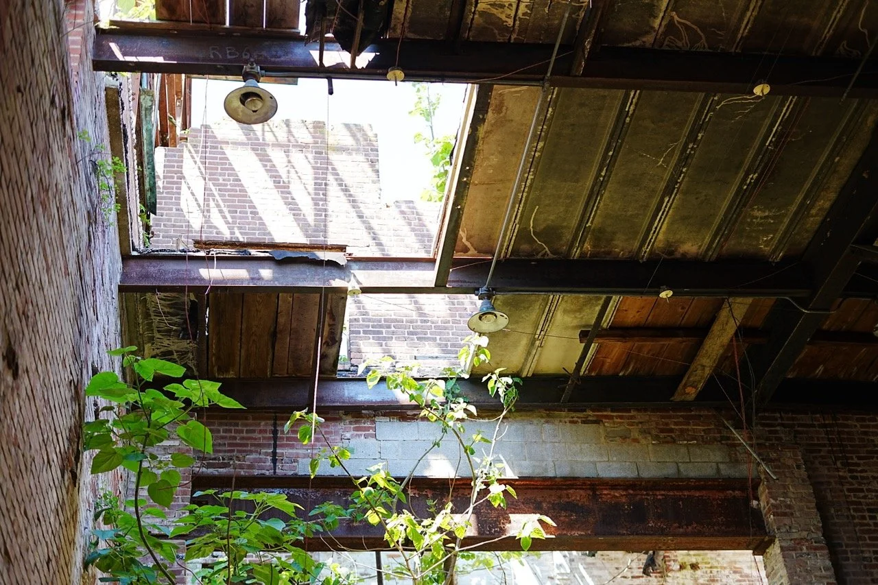Interior view of an abandoned building with a damaged roof, exposed brick walls, and overgrown plants inside.