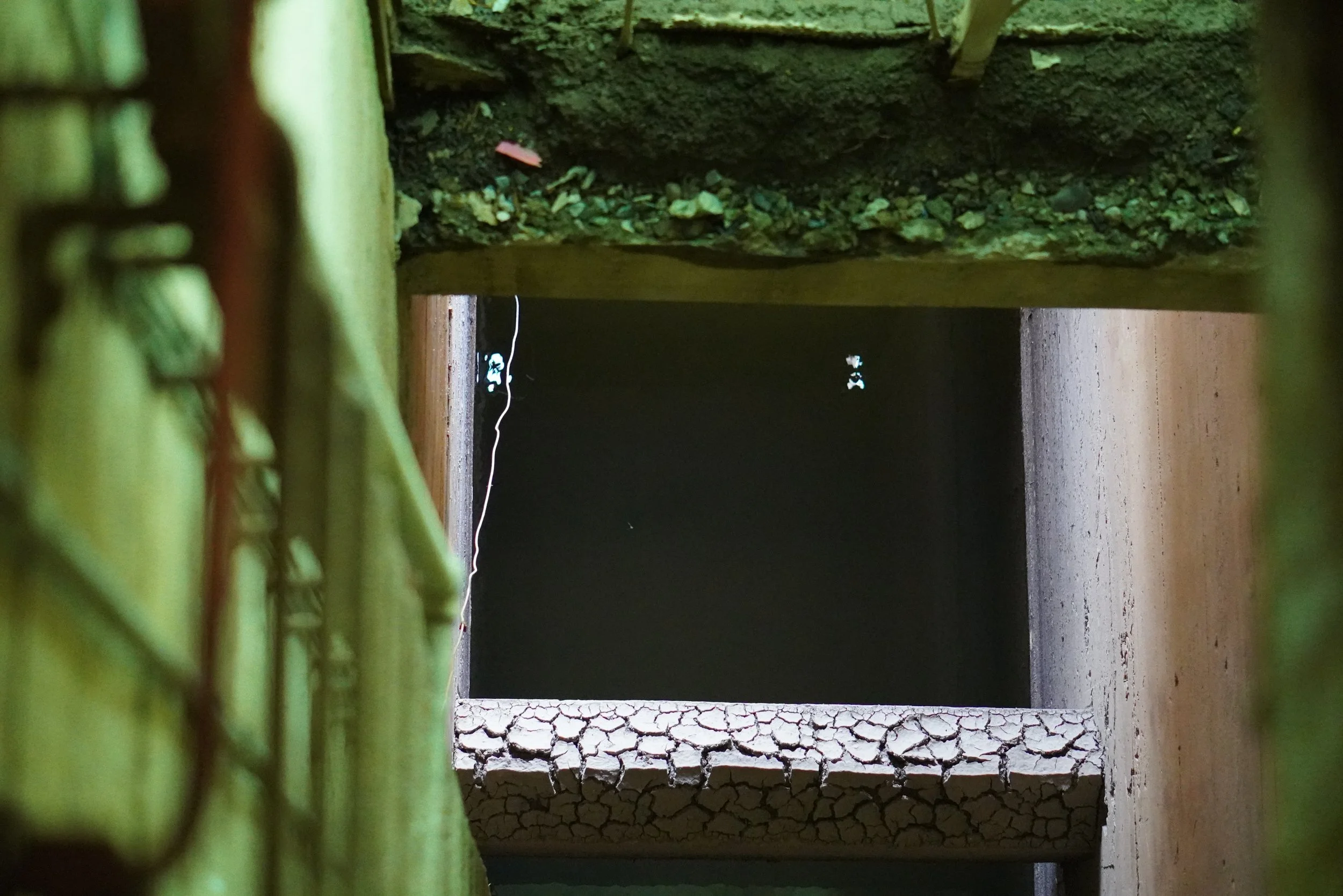 Looking through a gap, a dark tunnel or opening is visible, framed by a stone or brick wall at the bottom and a wooden beam or support at the top, with green foliage in the foreground.