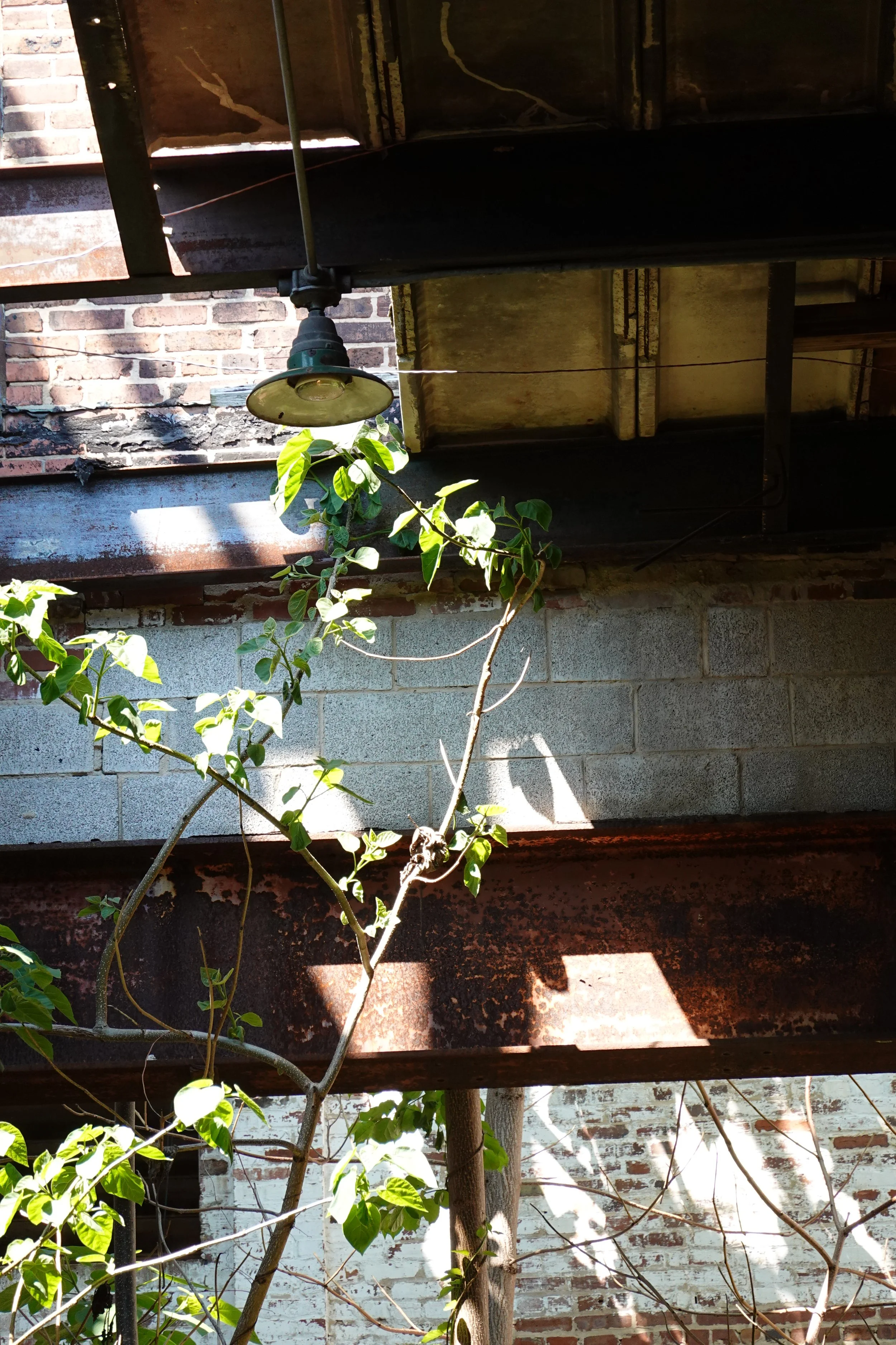 A rustic brick and wood wall with an outdoor light fixture and green leafy plants in front.