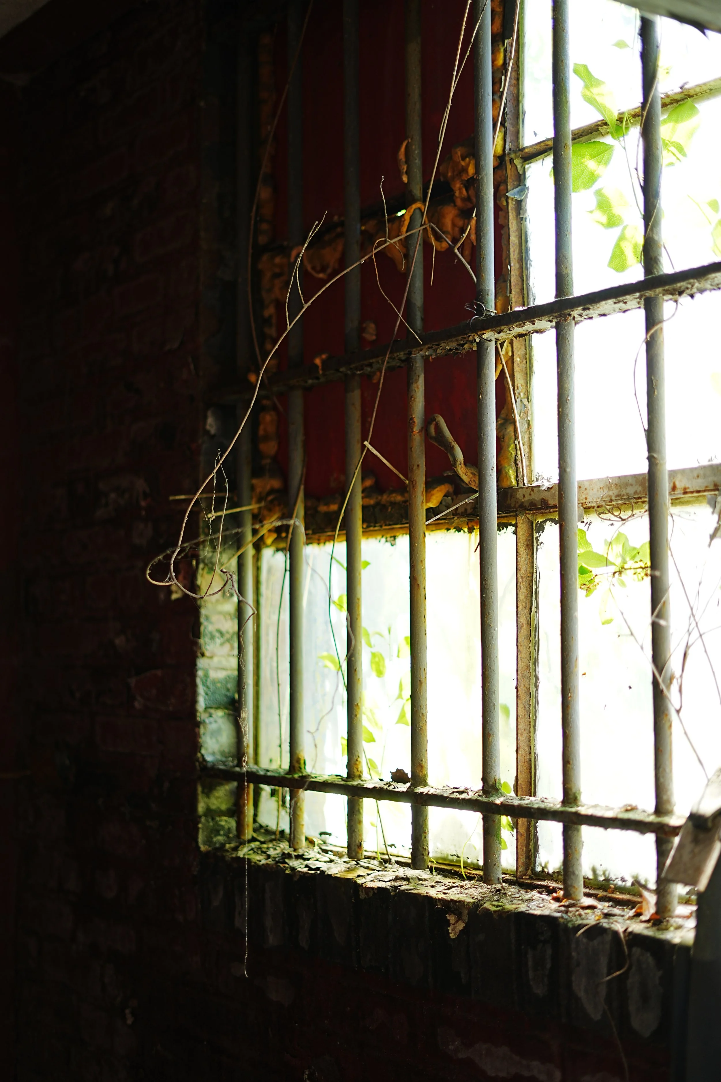 A rusty barred window with a brick wall on the left and greenery outside visible through the window.