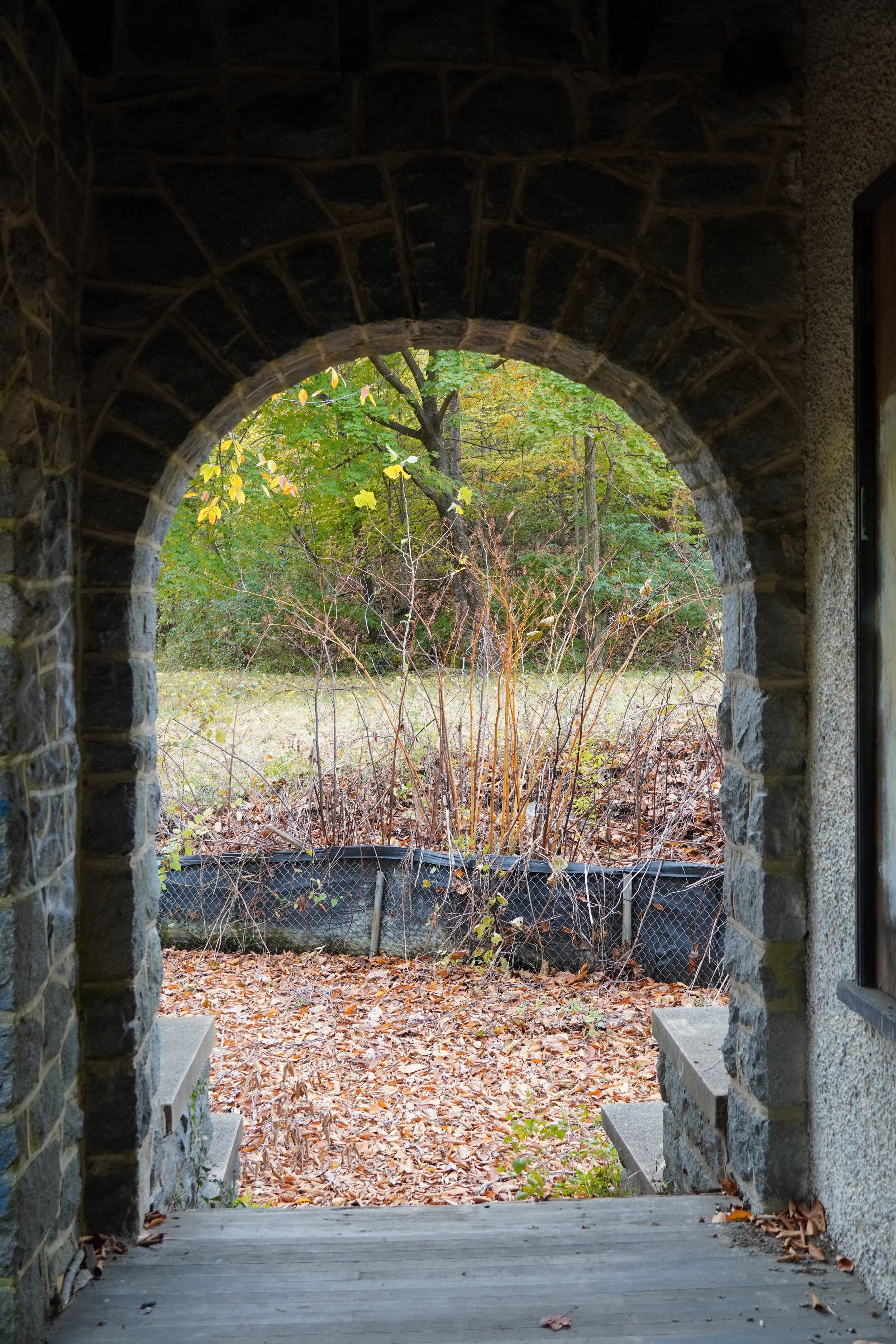 View through stone archway showing autumn trees with green and yellow leaves, fallen leaves on the ground, and a black metal fence.
