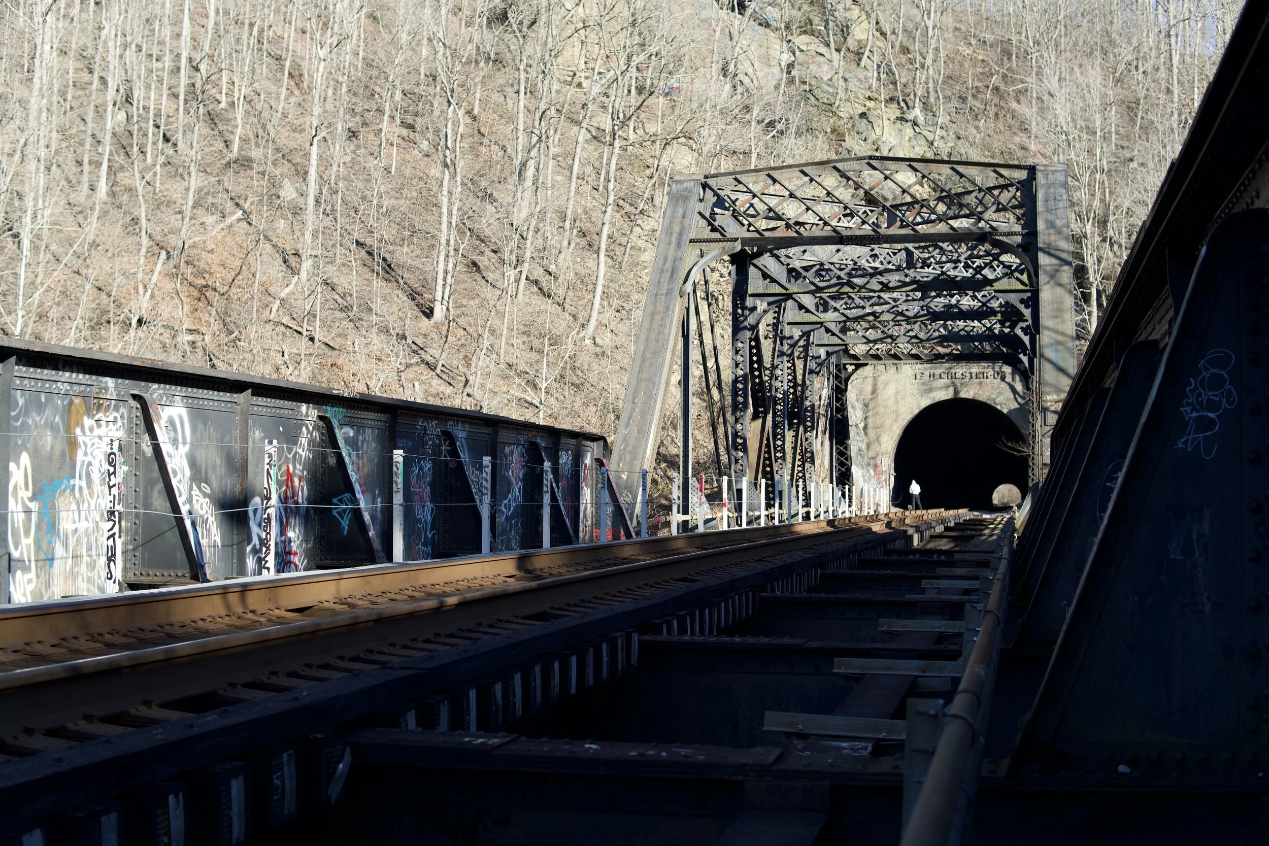 A train track leading into a tunnel through a rocky hillside, with the tunnel's entrance arching over the tracks. The hillside is covered with leafless trees, and there is graffiti on the side of the train.